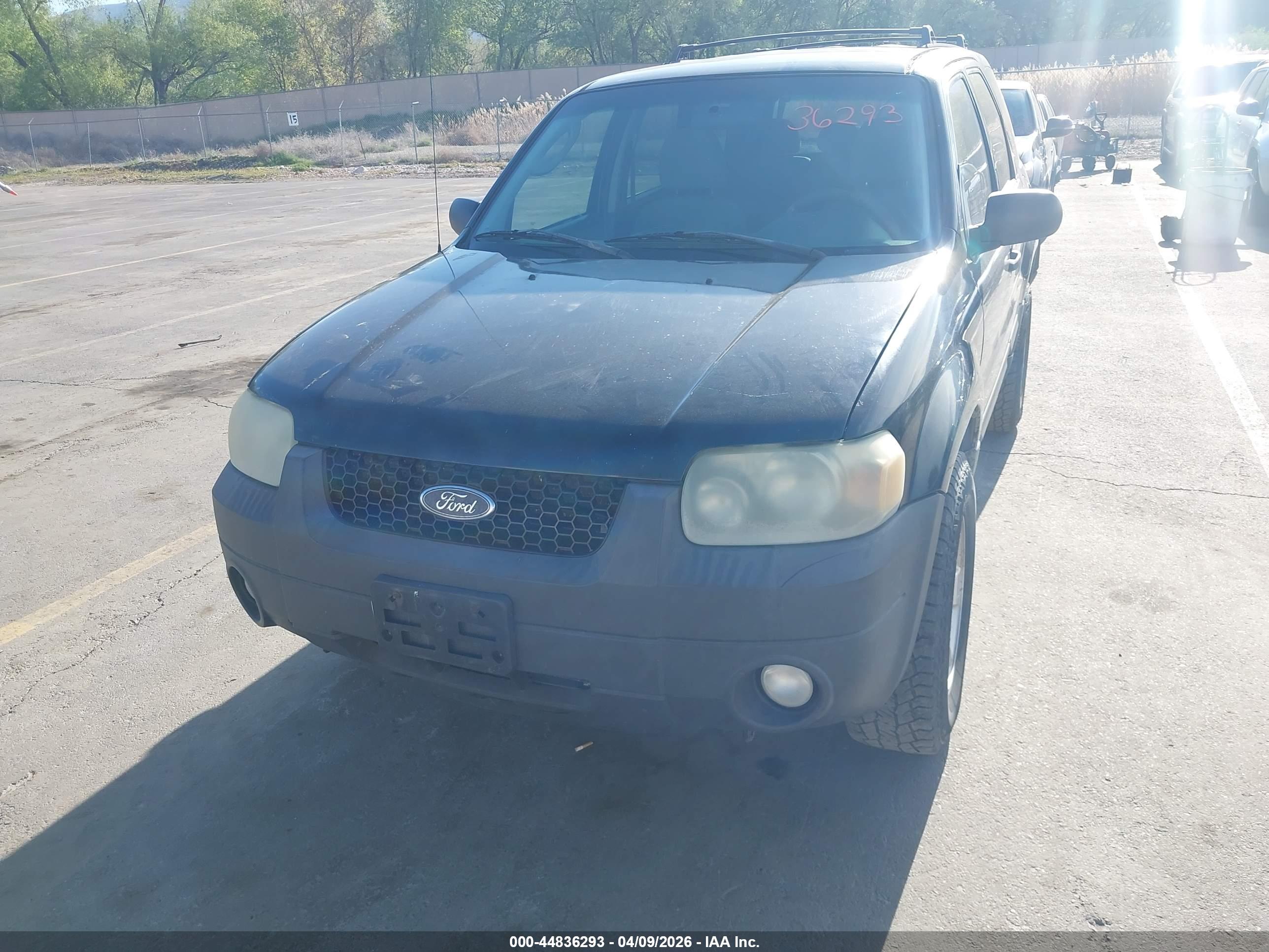 FORD ESCAPE image 6