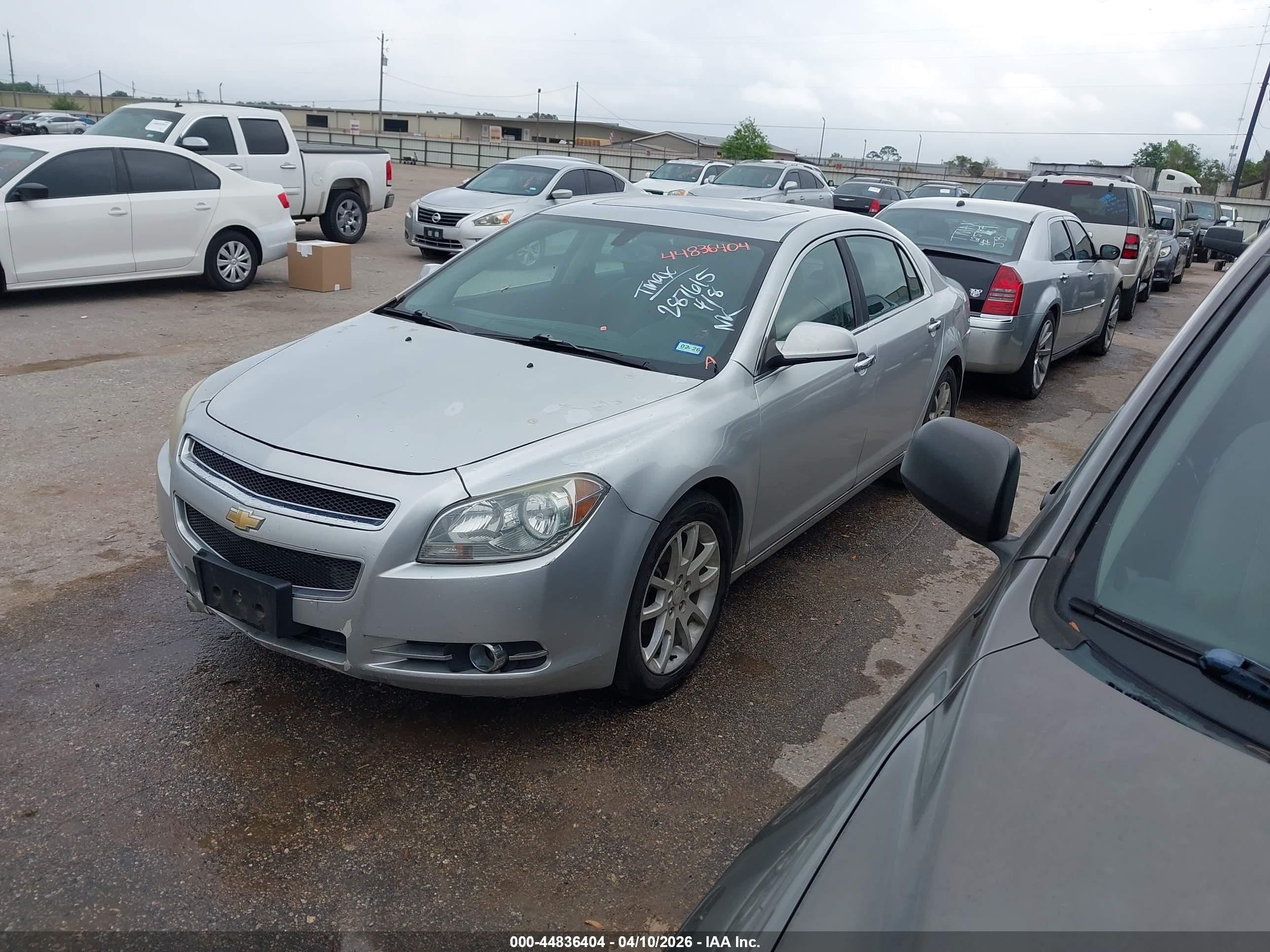 CHEVROLET MALIBU image 2