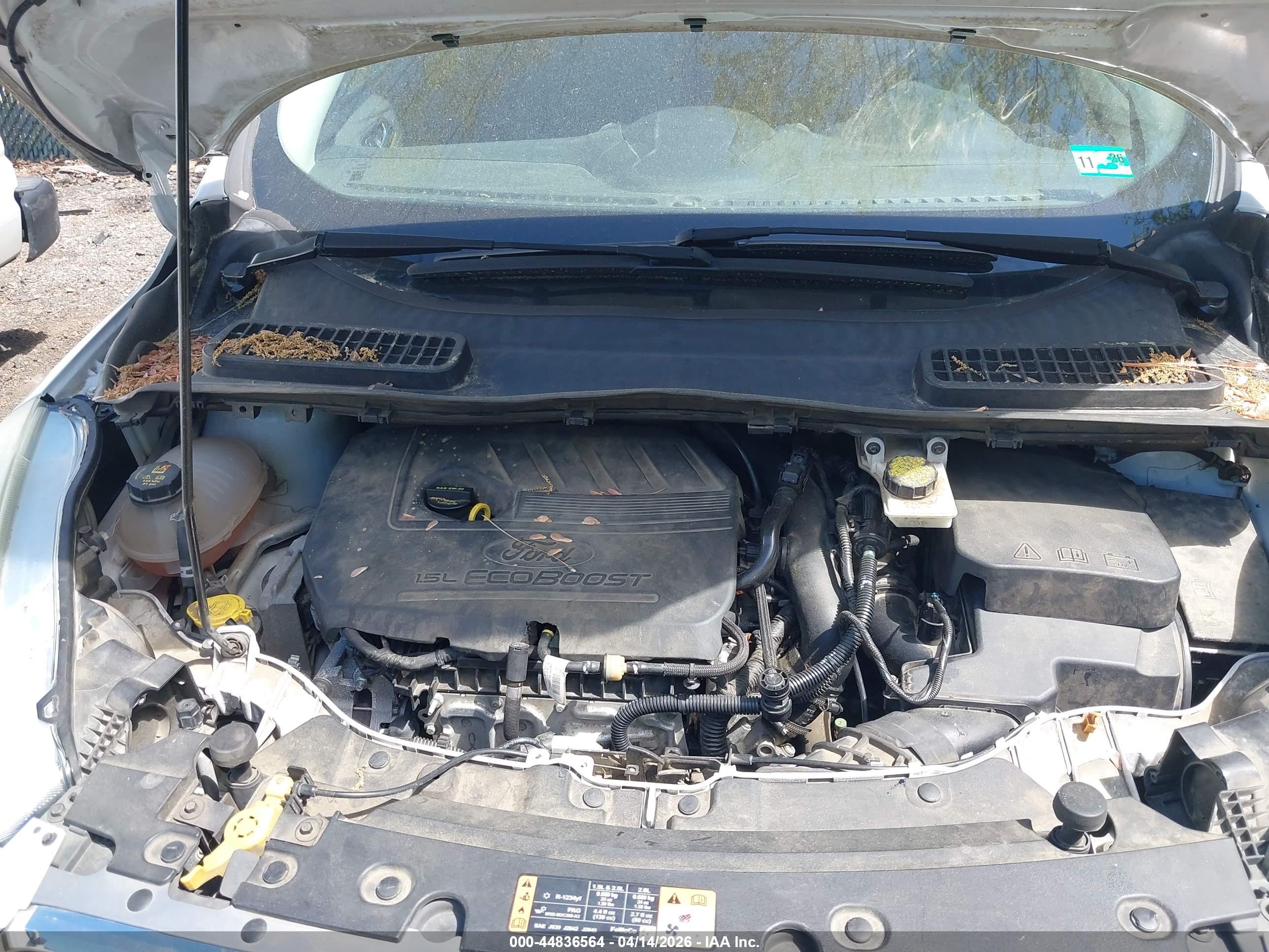 FORD ESCAPE image 10