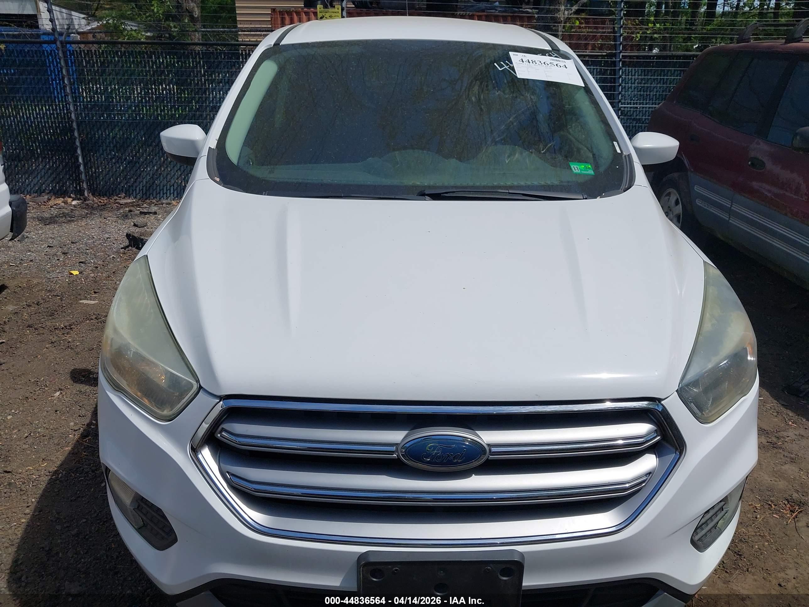 FORD ESCAPE image 6