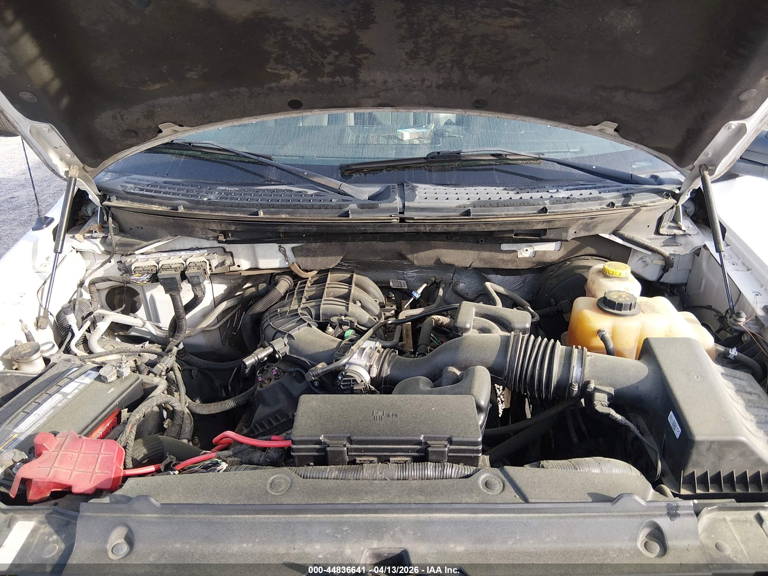 FORD F-150 image 10