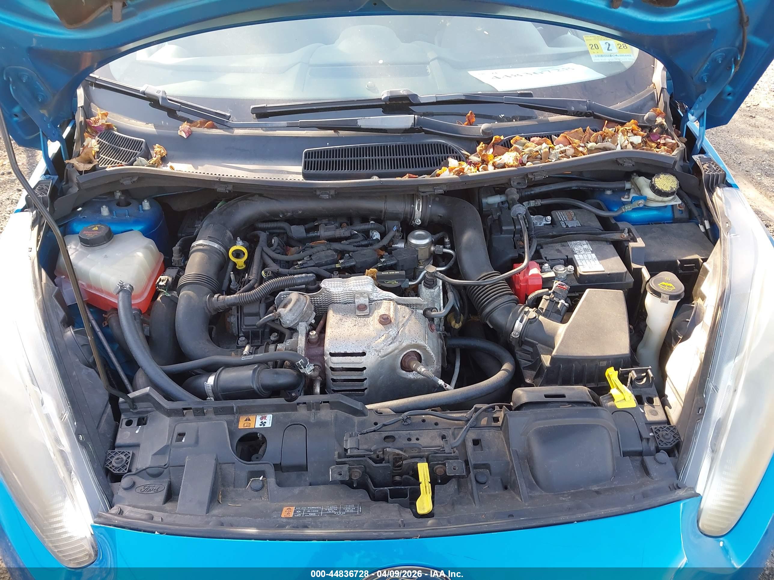 FORD FIESTA image 10