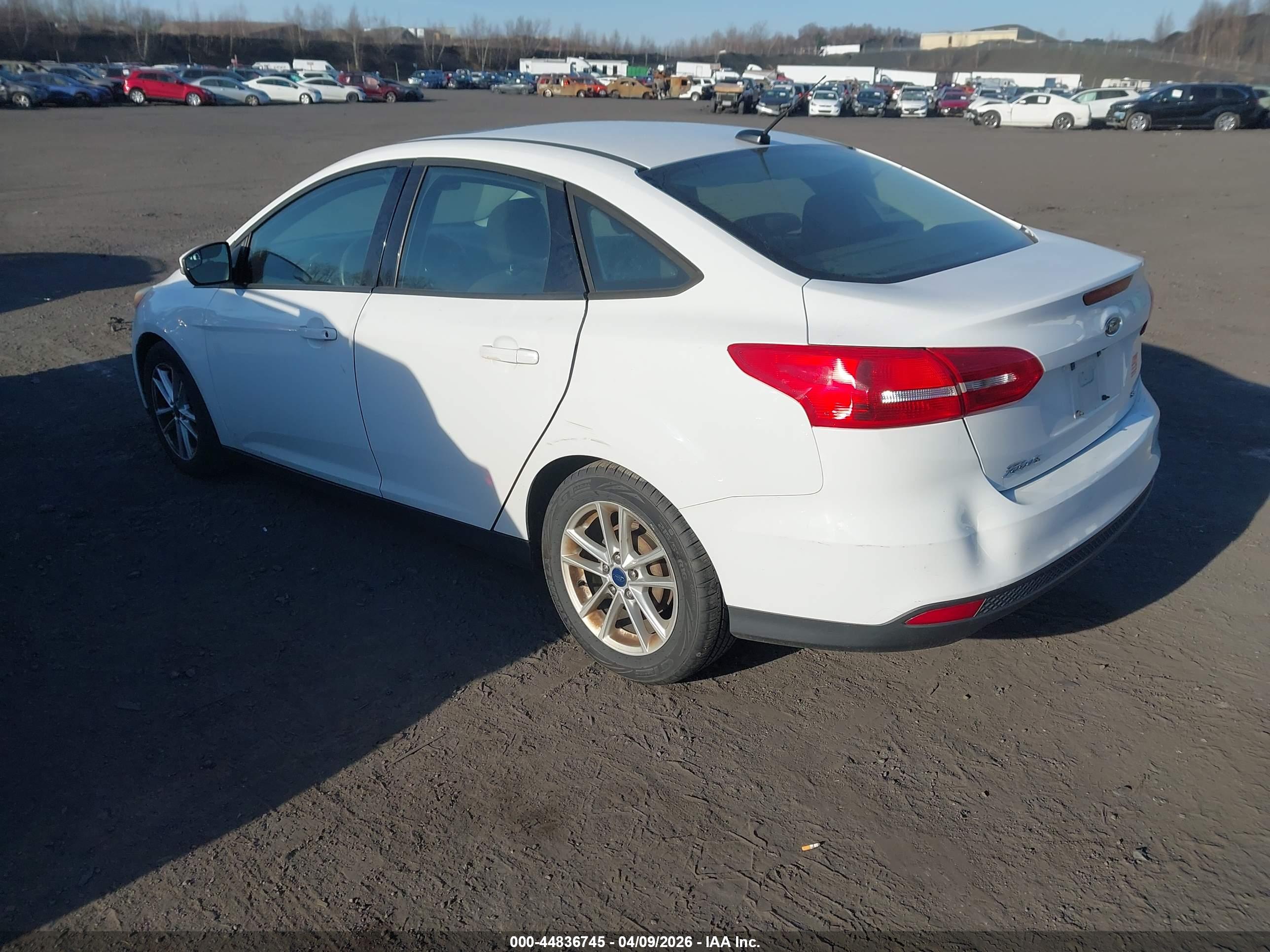 FORD FOCUS image 3