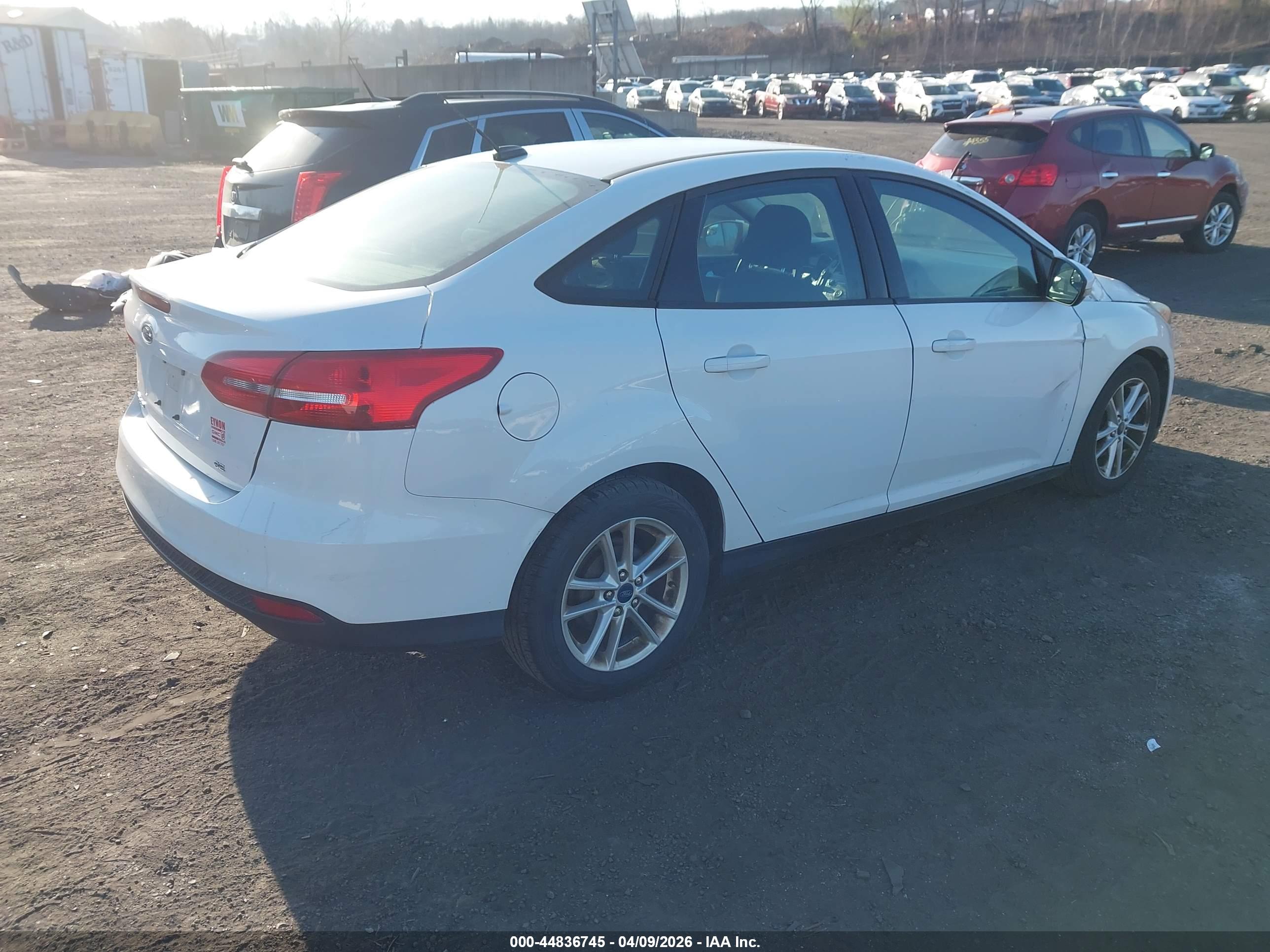 FORD FOCUS image 4