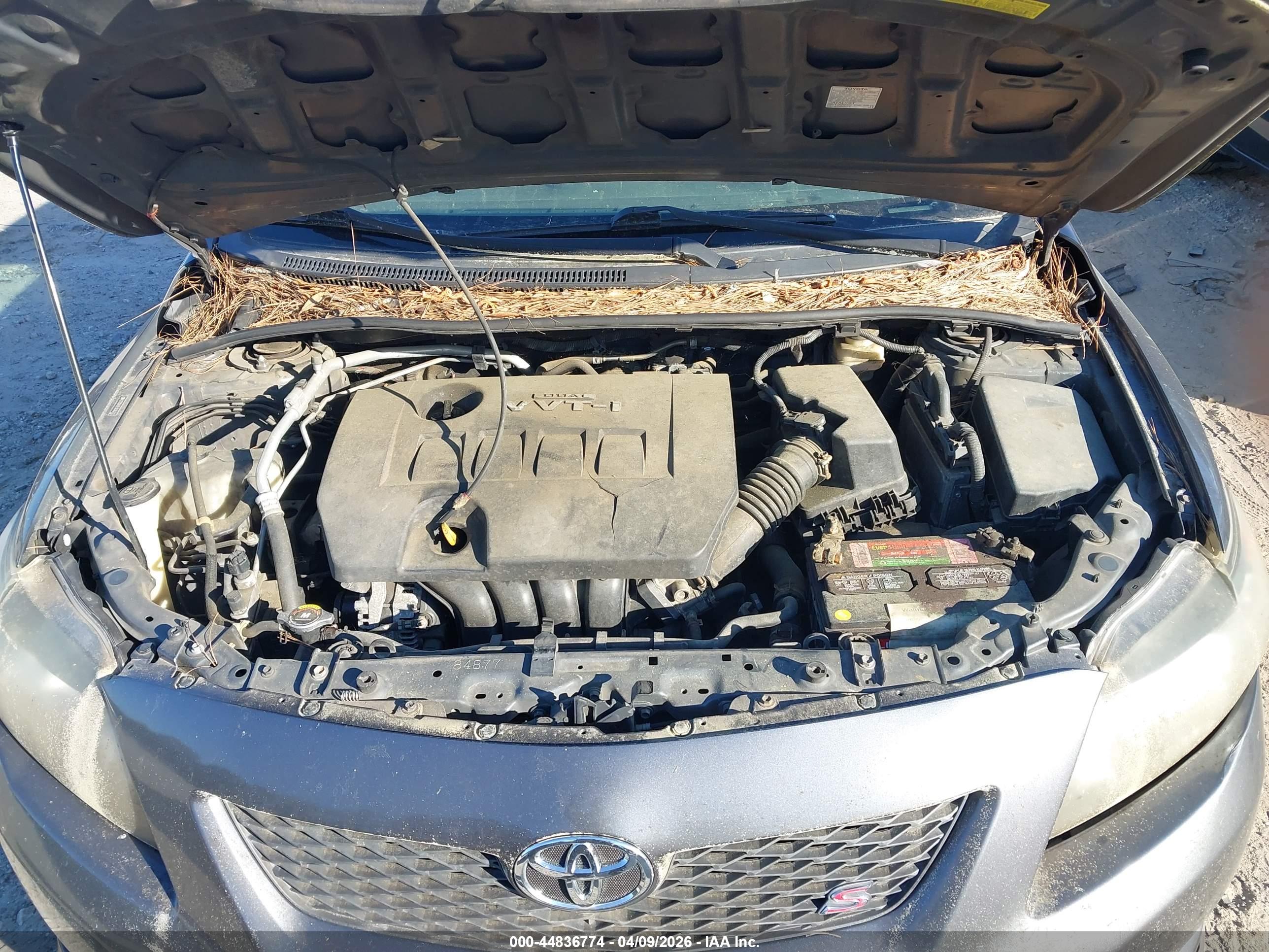 TOYOTA COROLLA image 10