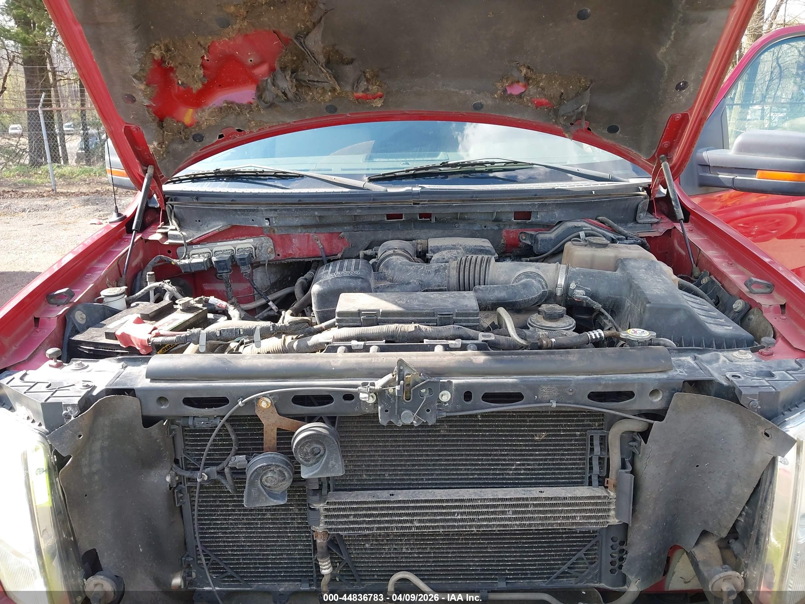 FORD F-150 image 10