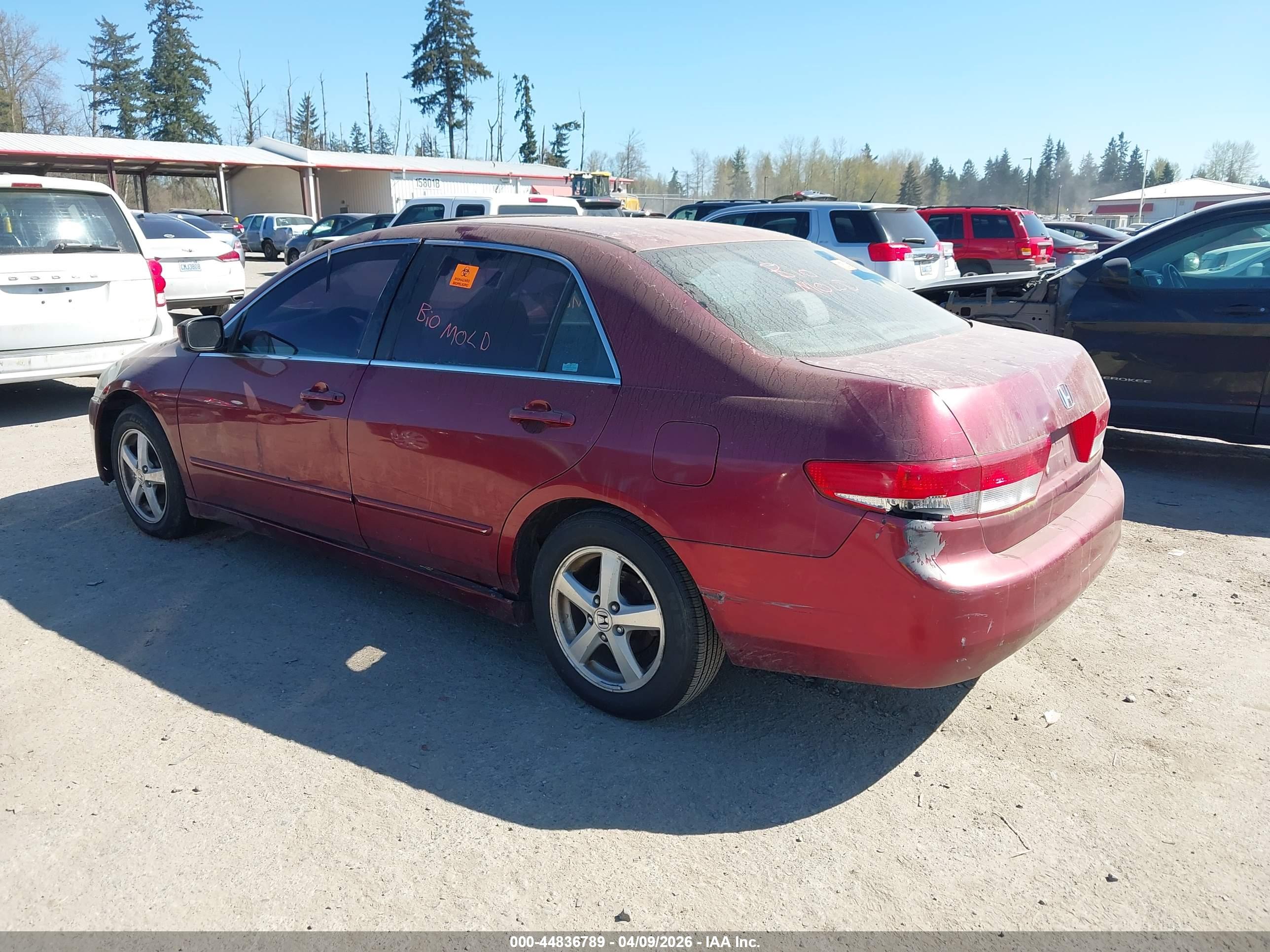 HONDA ACCORD image 3