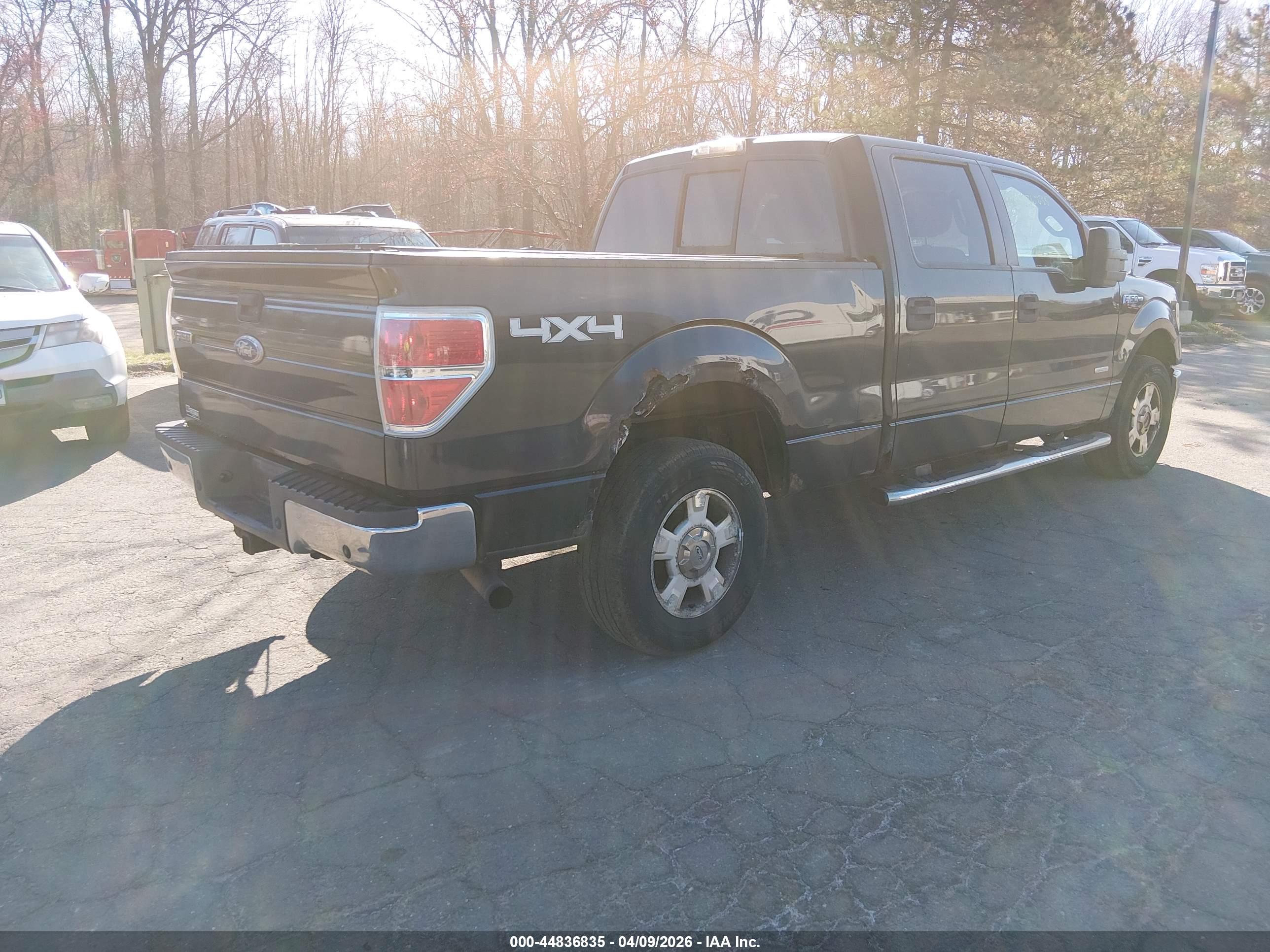 FORD F-150 image 4
