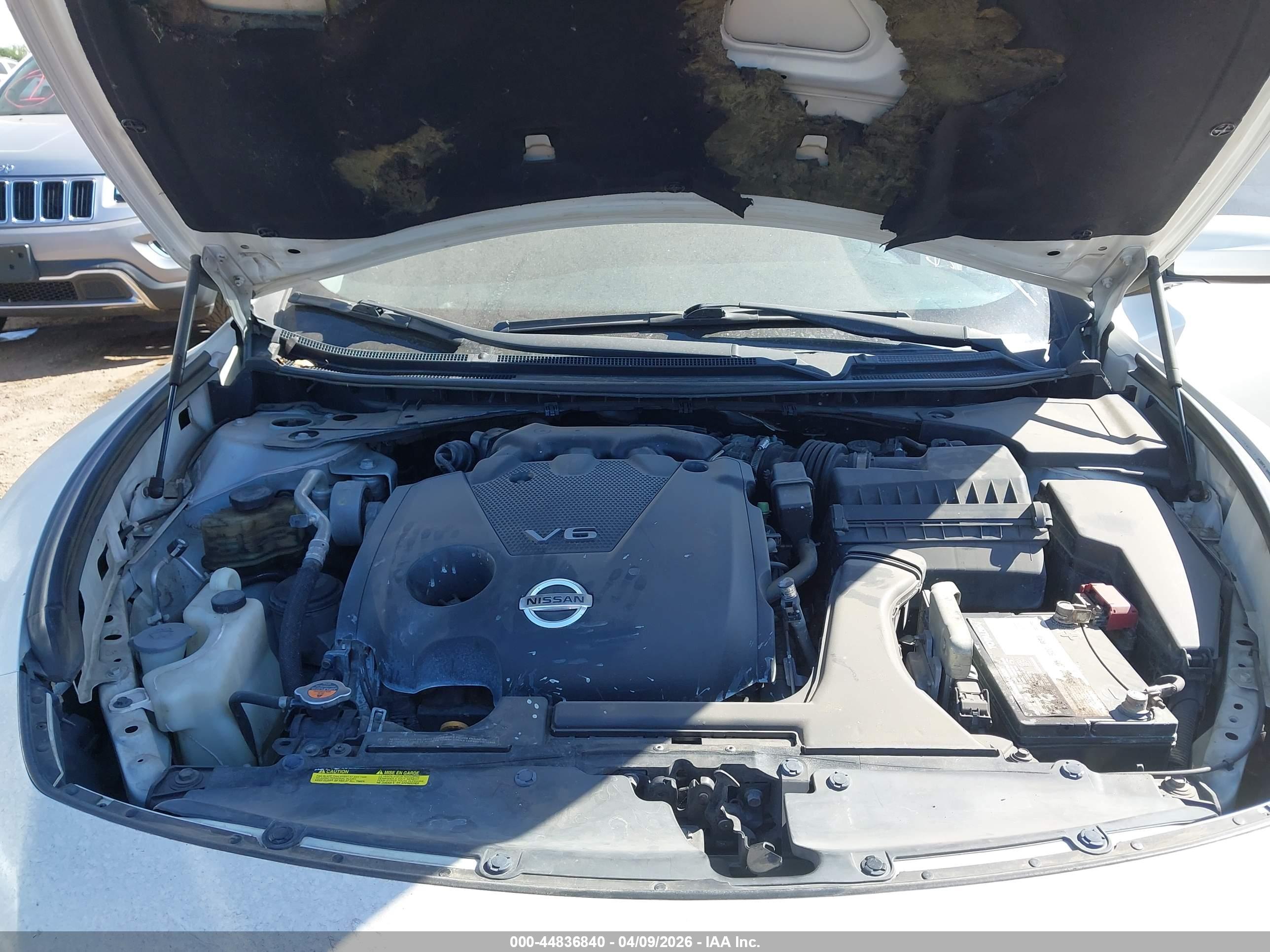 NISSAN MAXIMA image 10