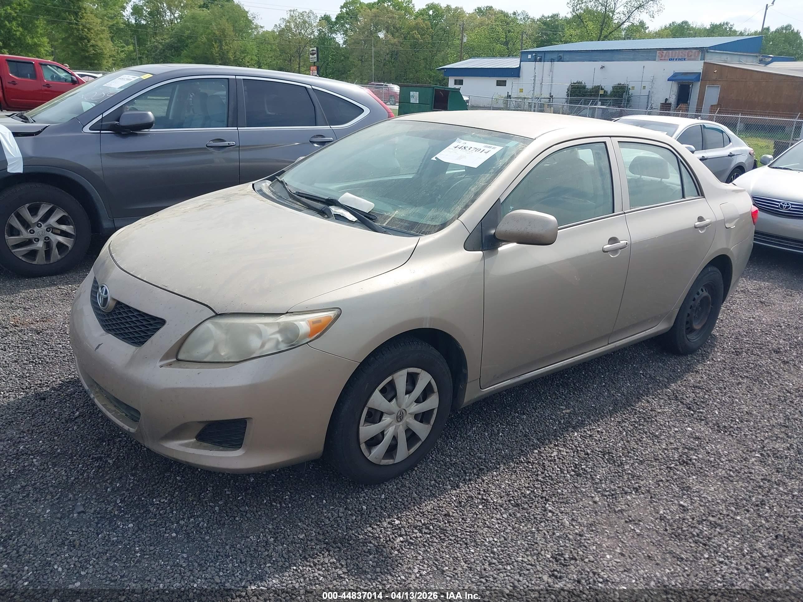 TOYOTA COROLLA image 2