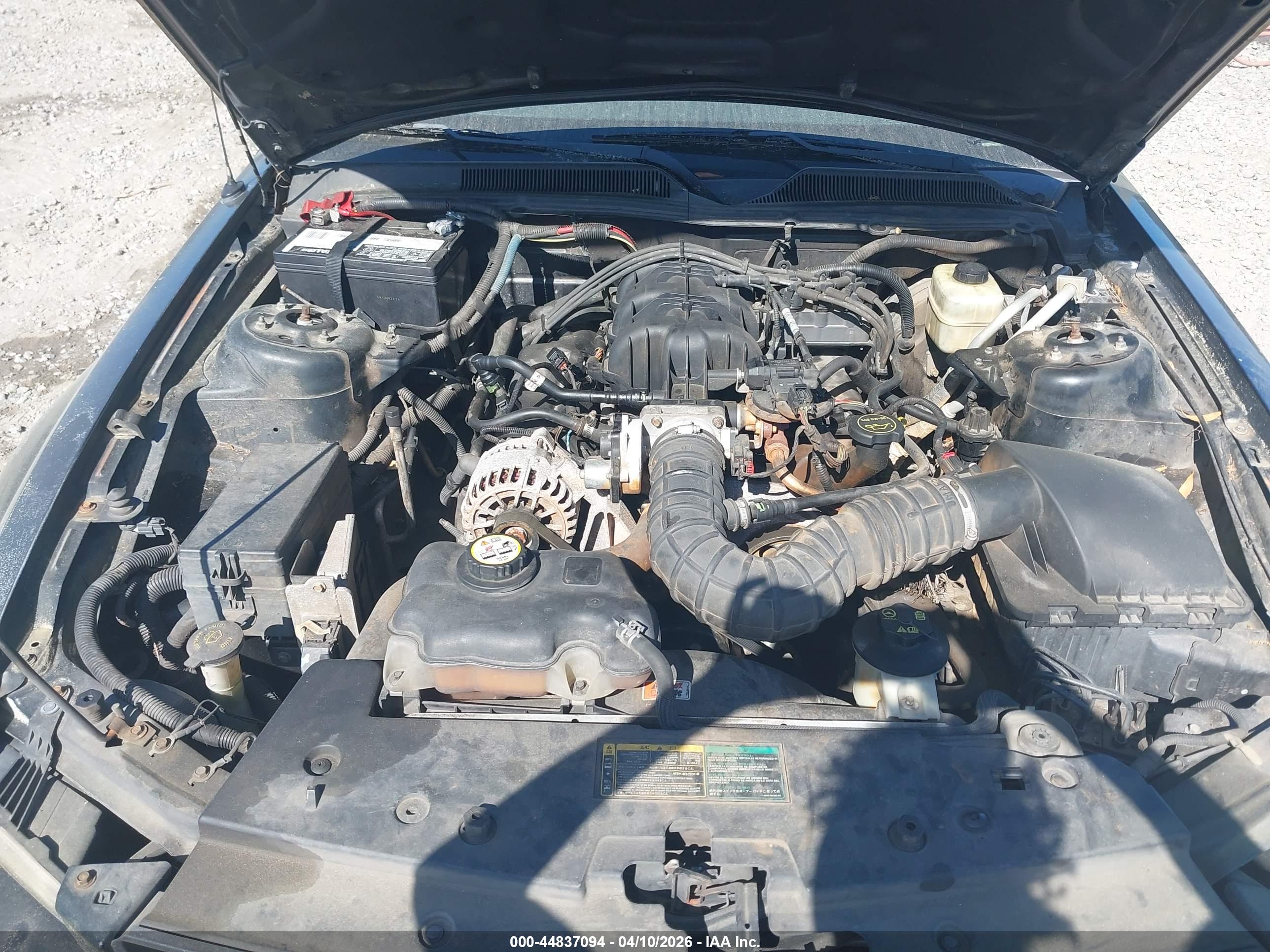FORD MUSTANG image 10
