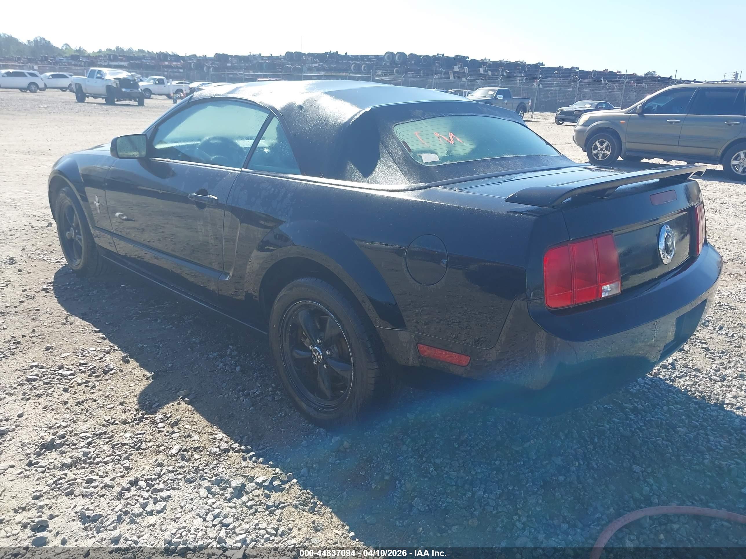 FORD MUSTANG image 3