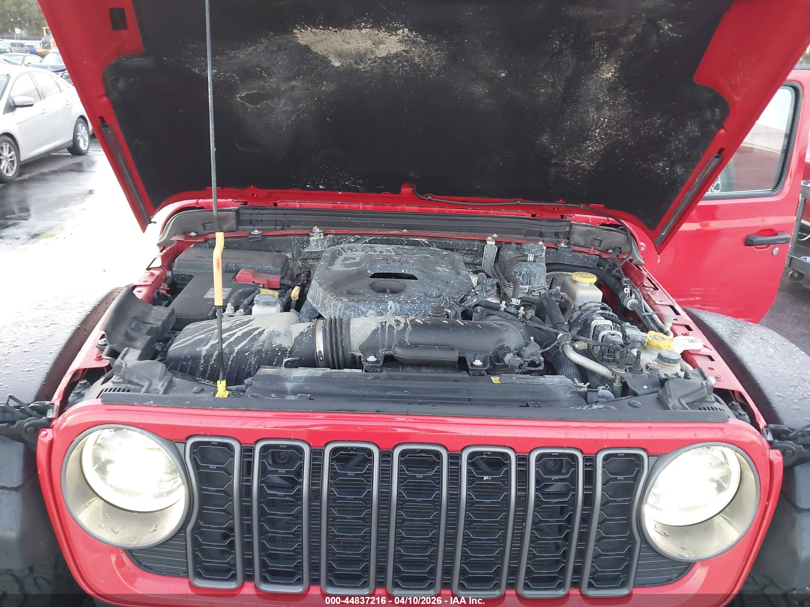 JEEP WRANGLER image 10
