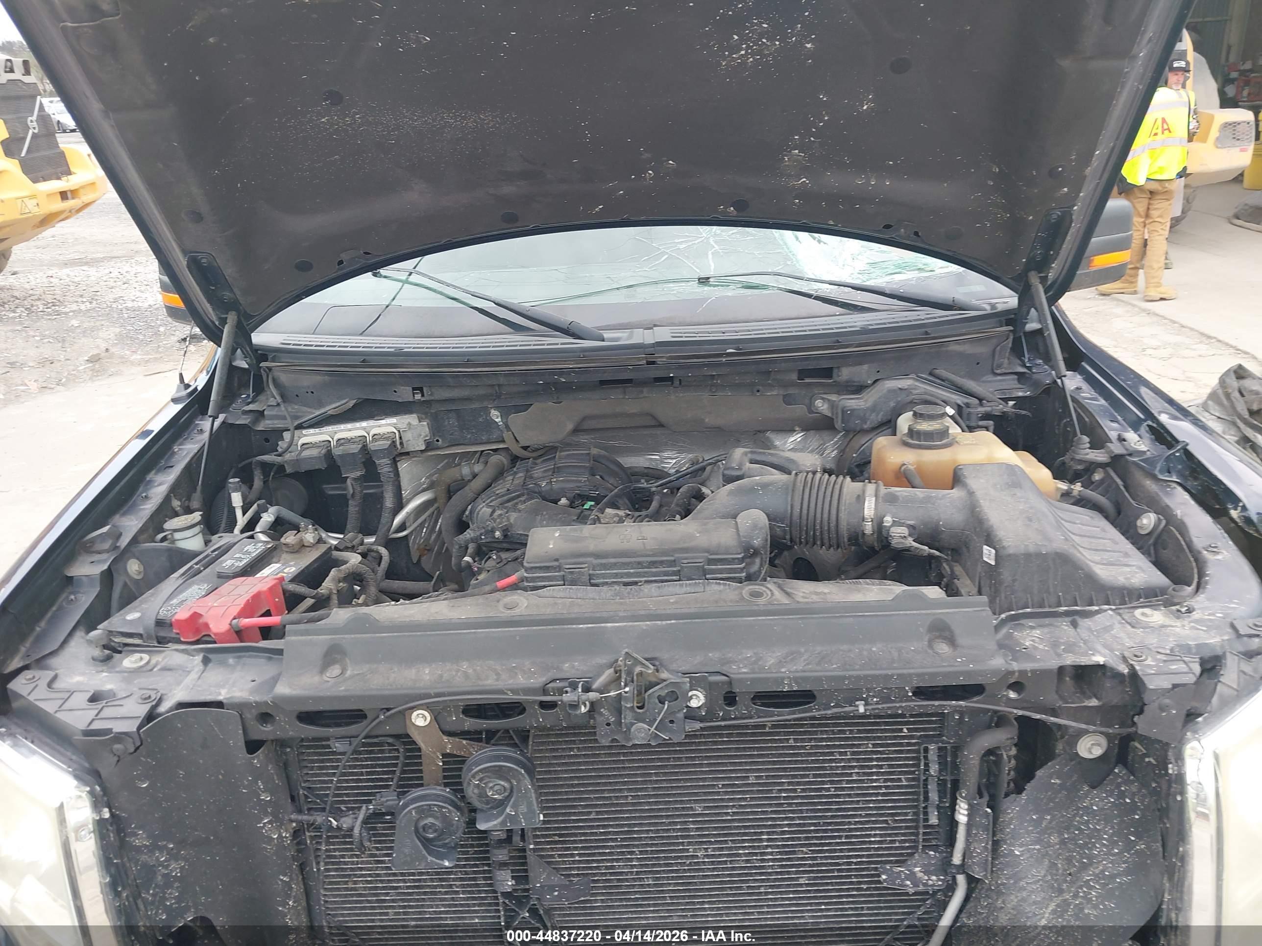 FORD F-150 image 10