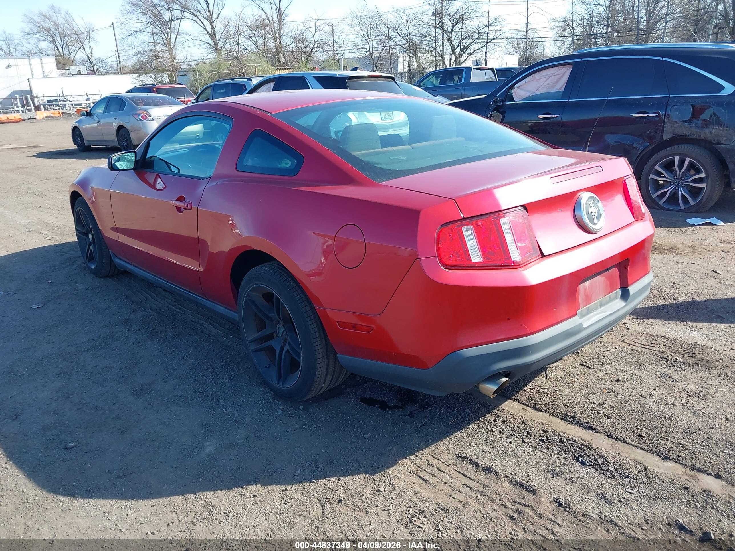 FORD MUSTANG image 3
