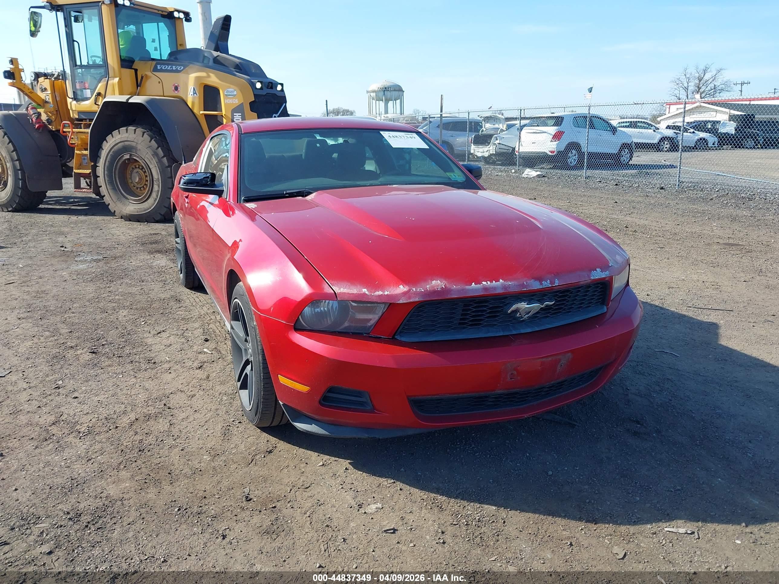 FORD MUSTANG image 6