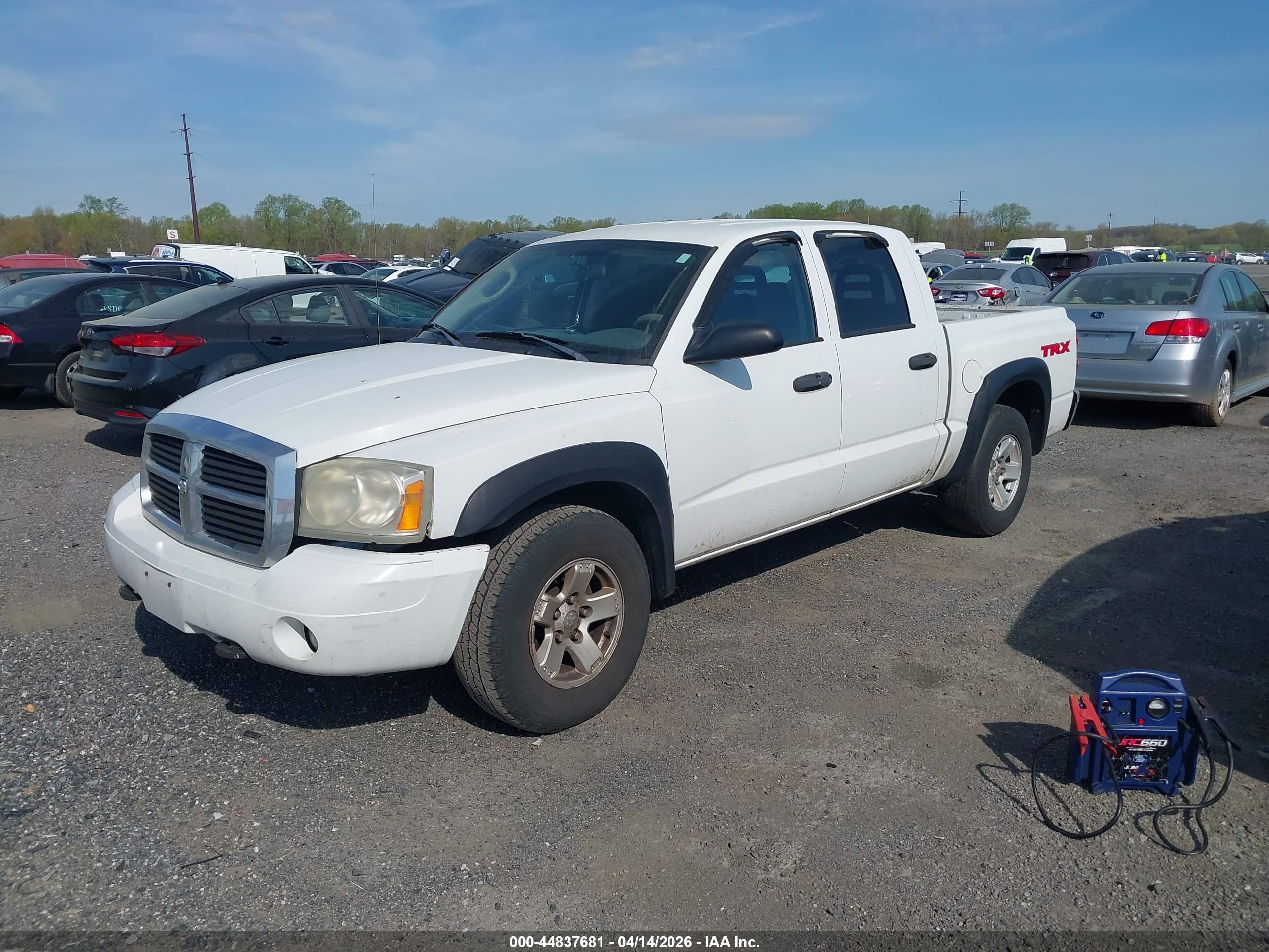 DODGE DAKOTA image 2