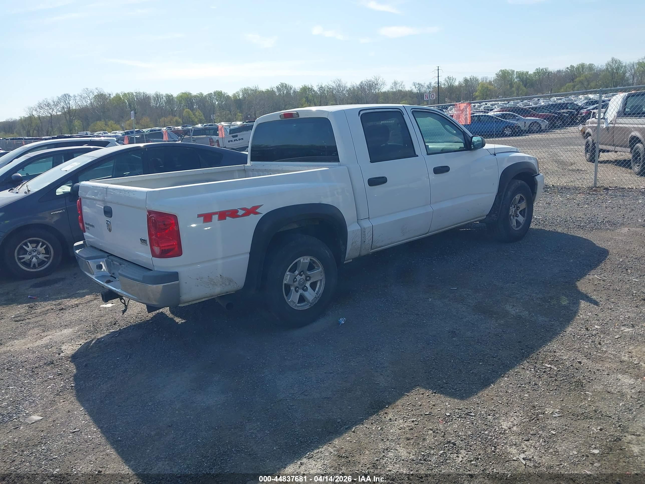 DODGE DAKOTA image 4