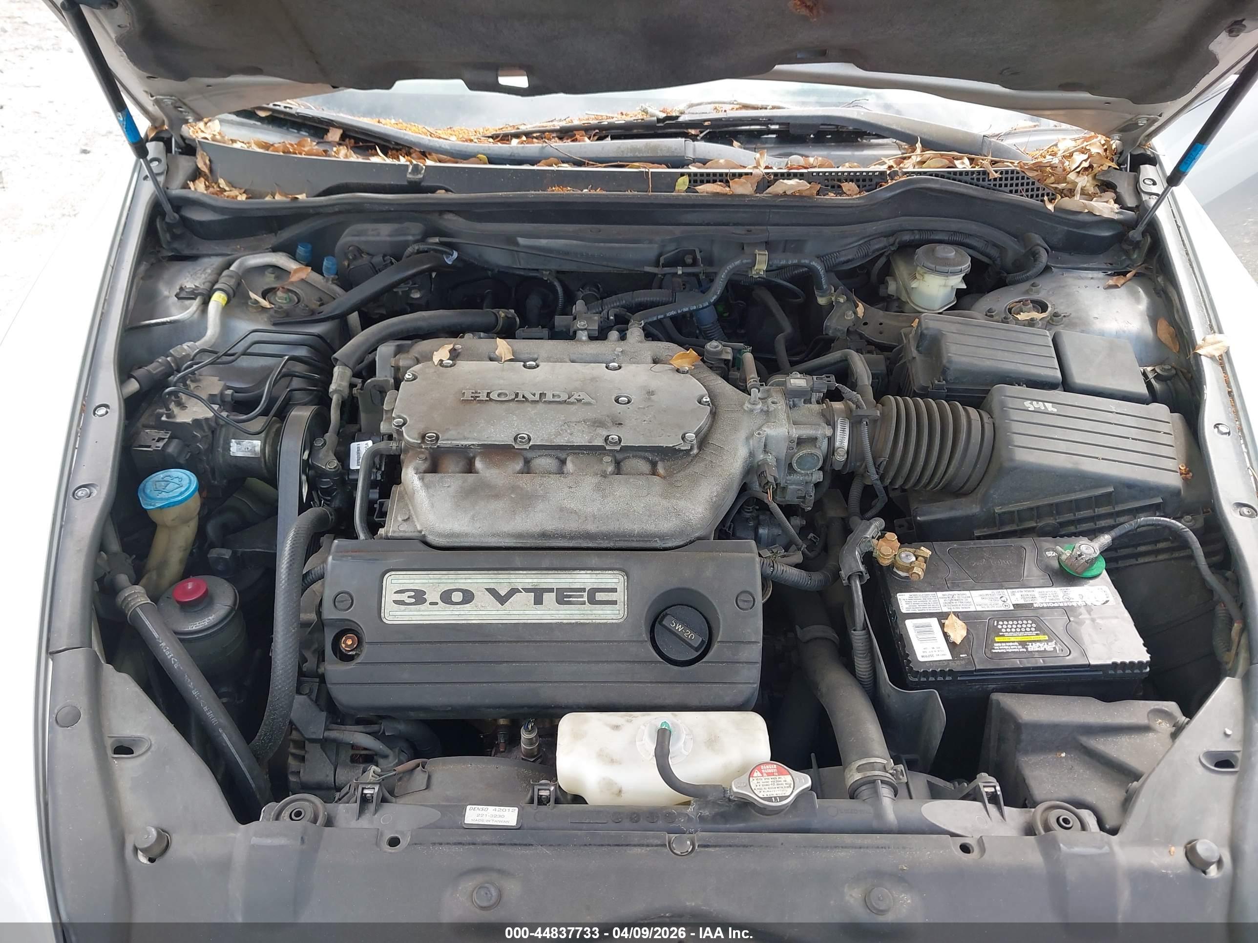 HONDA ACCORD image 10