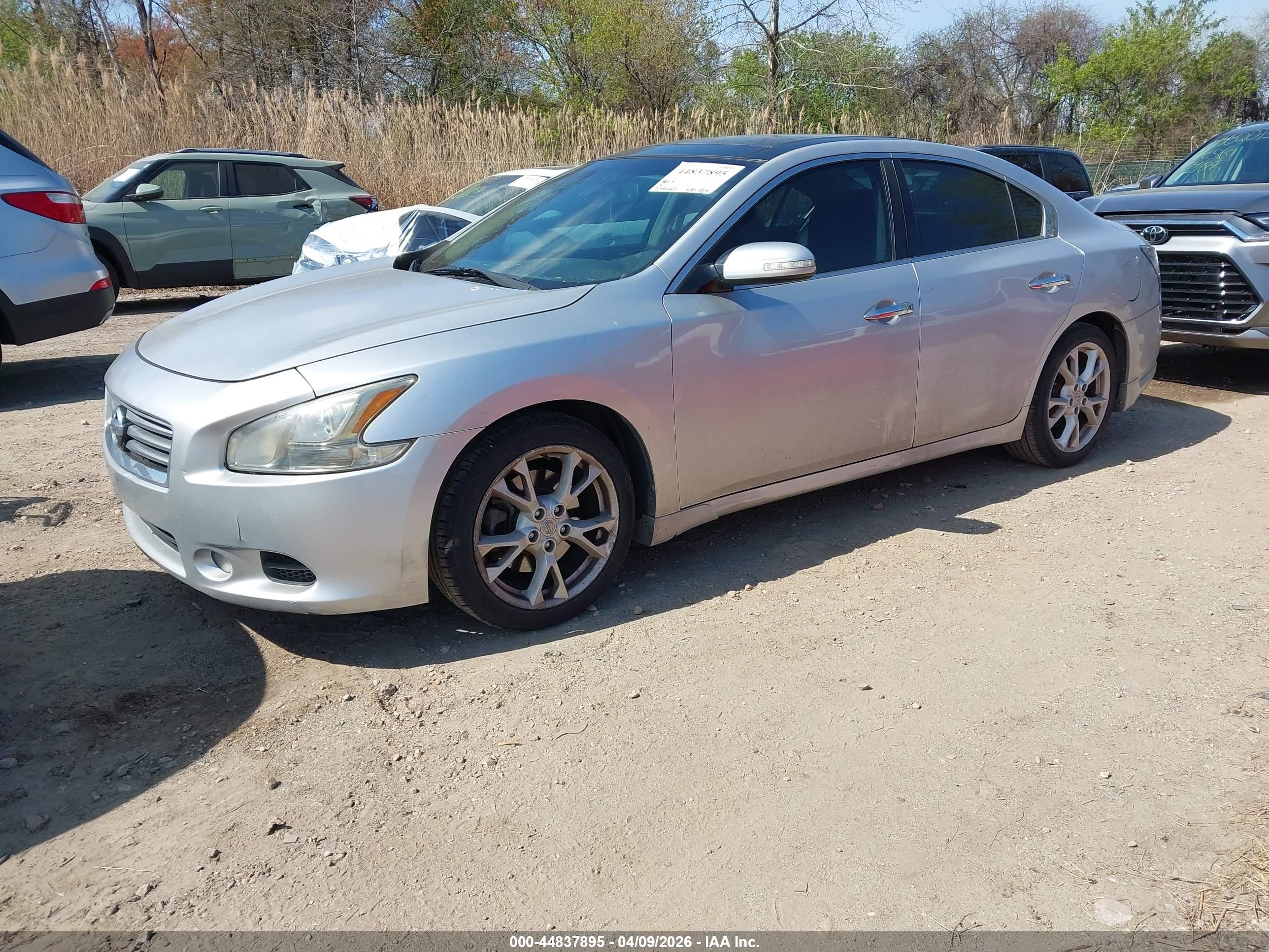 NISSAN MAXIMA image 2