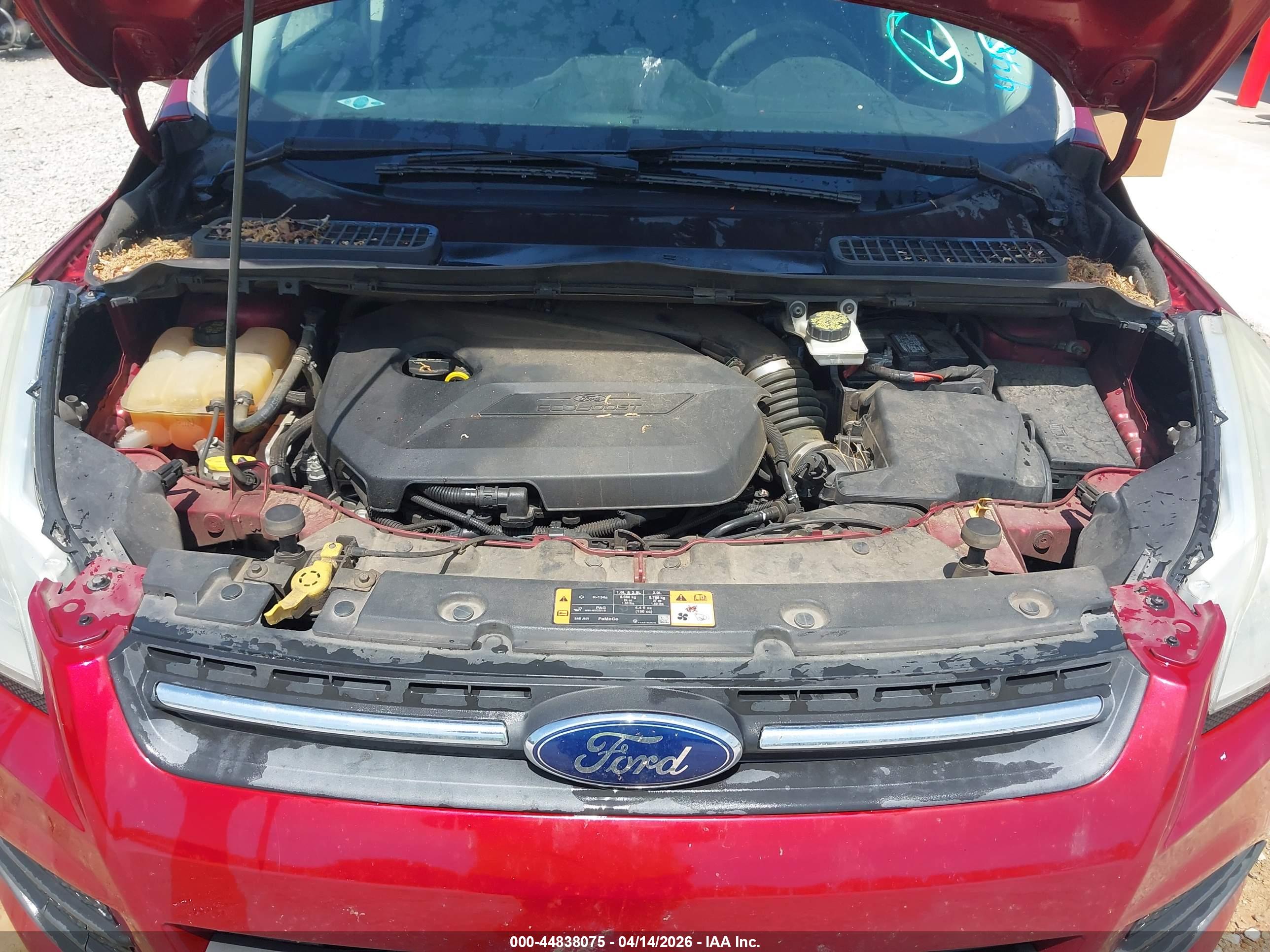 FORD ESCAPE image 10