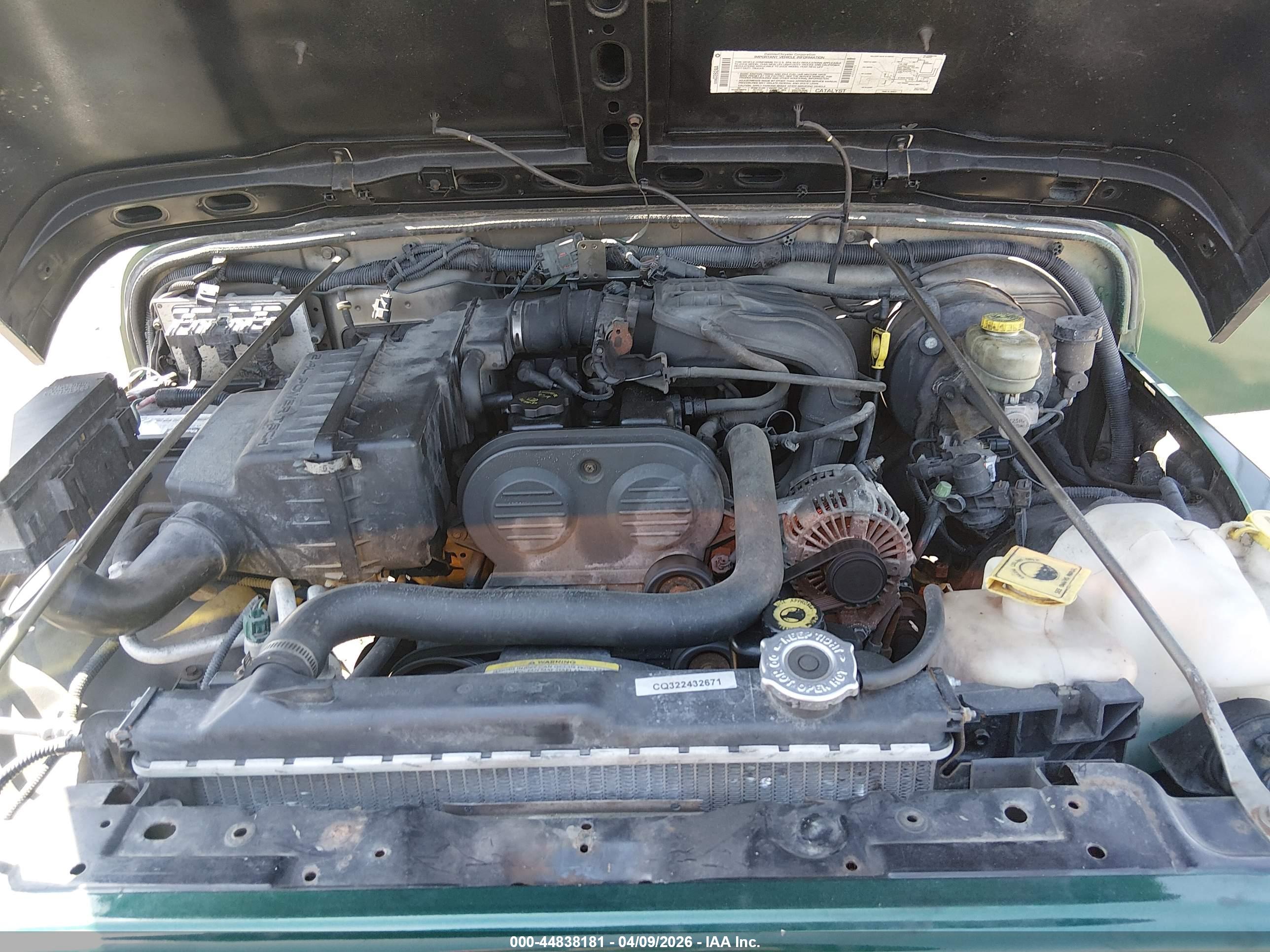 JEEP WRANGLER image 10