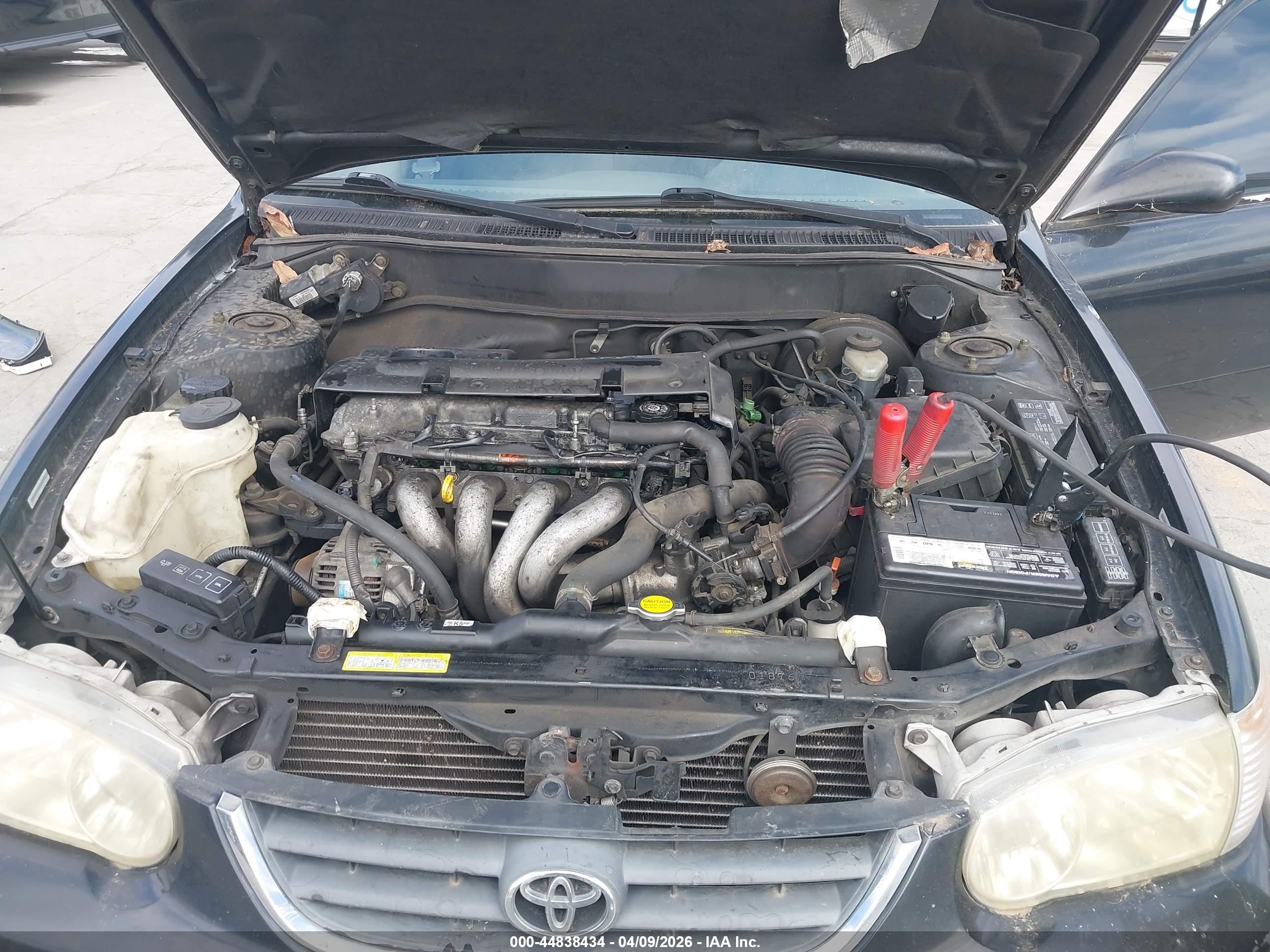TOYOTA COROLLA image 10