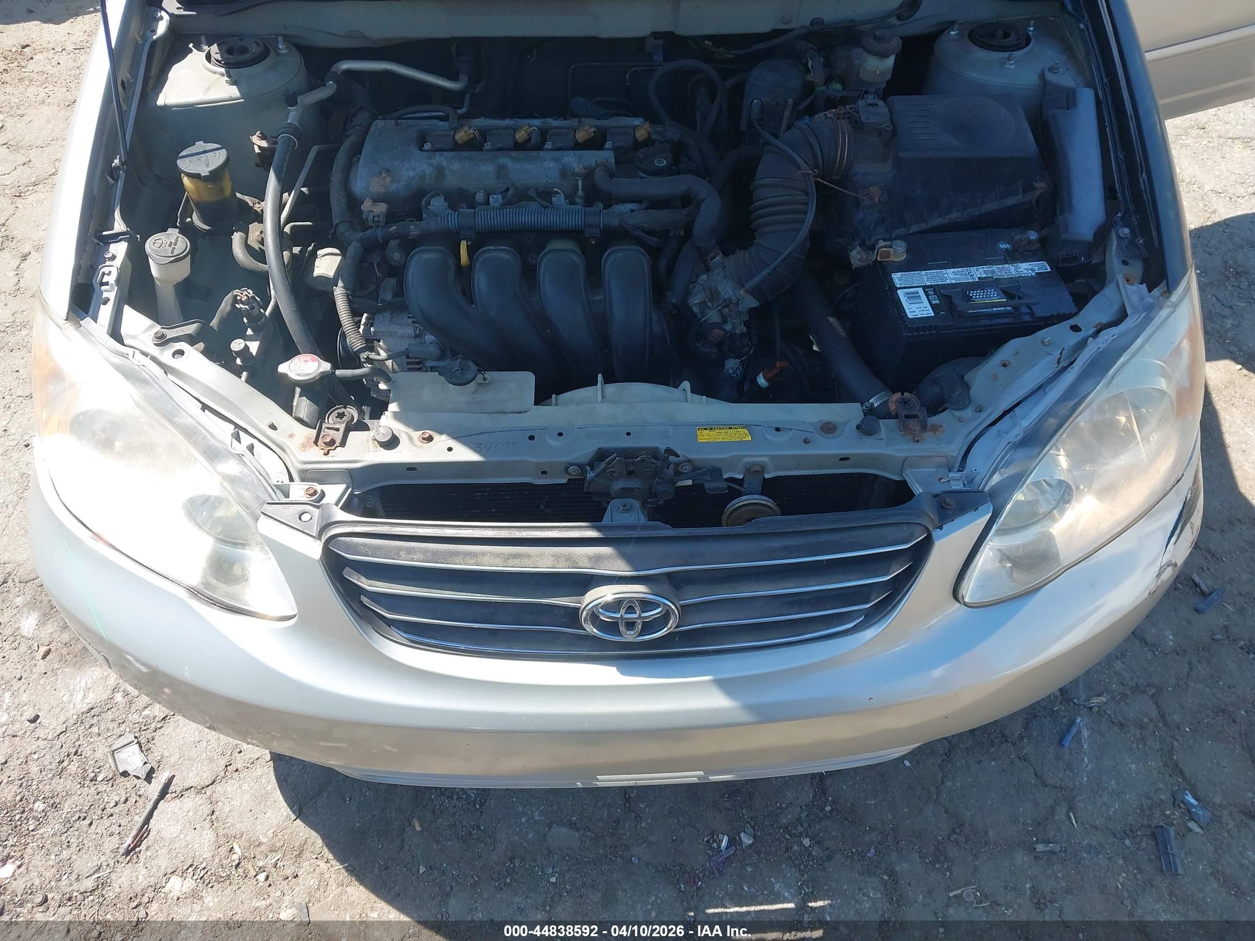 TOYOTA COROLLA image 10