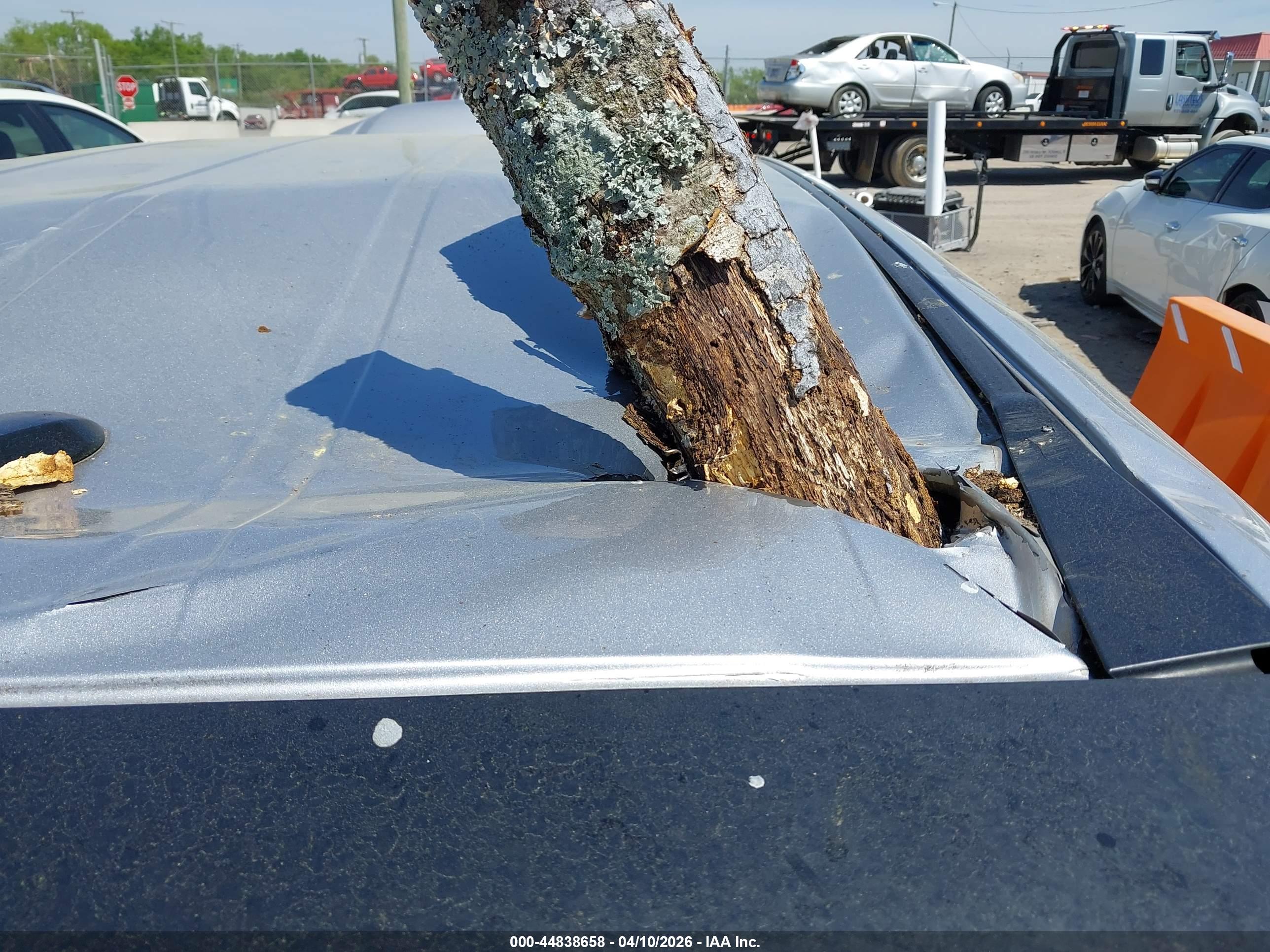 HONDA ODYSSEY image 6