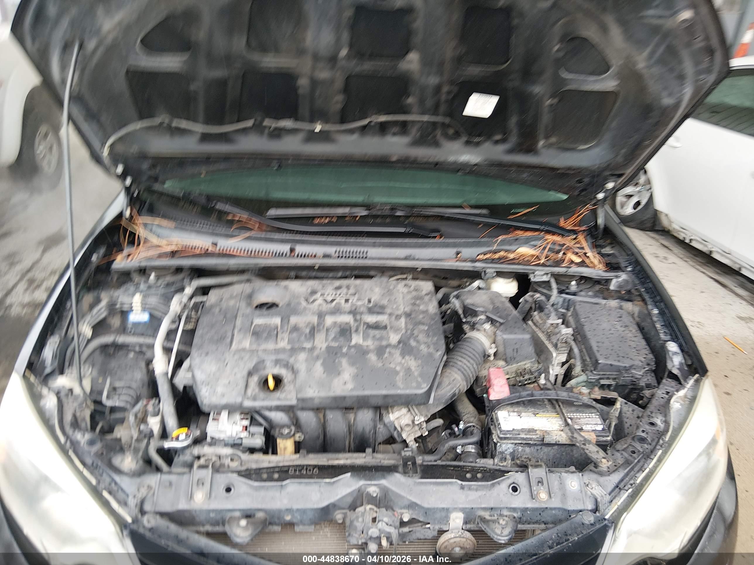 TOYOTA COROLLA image 10