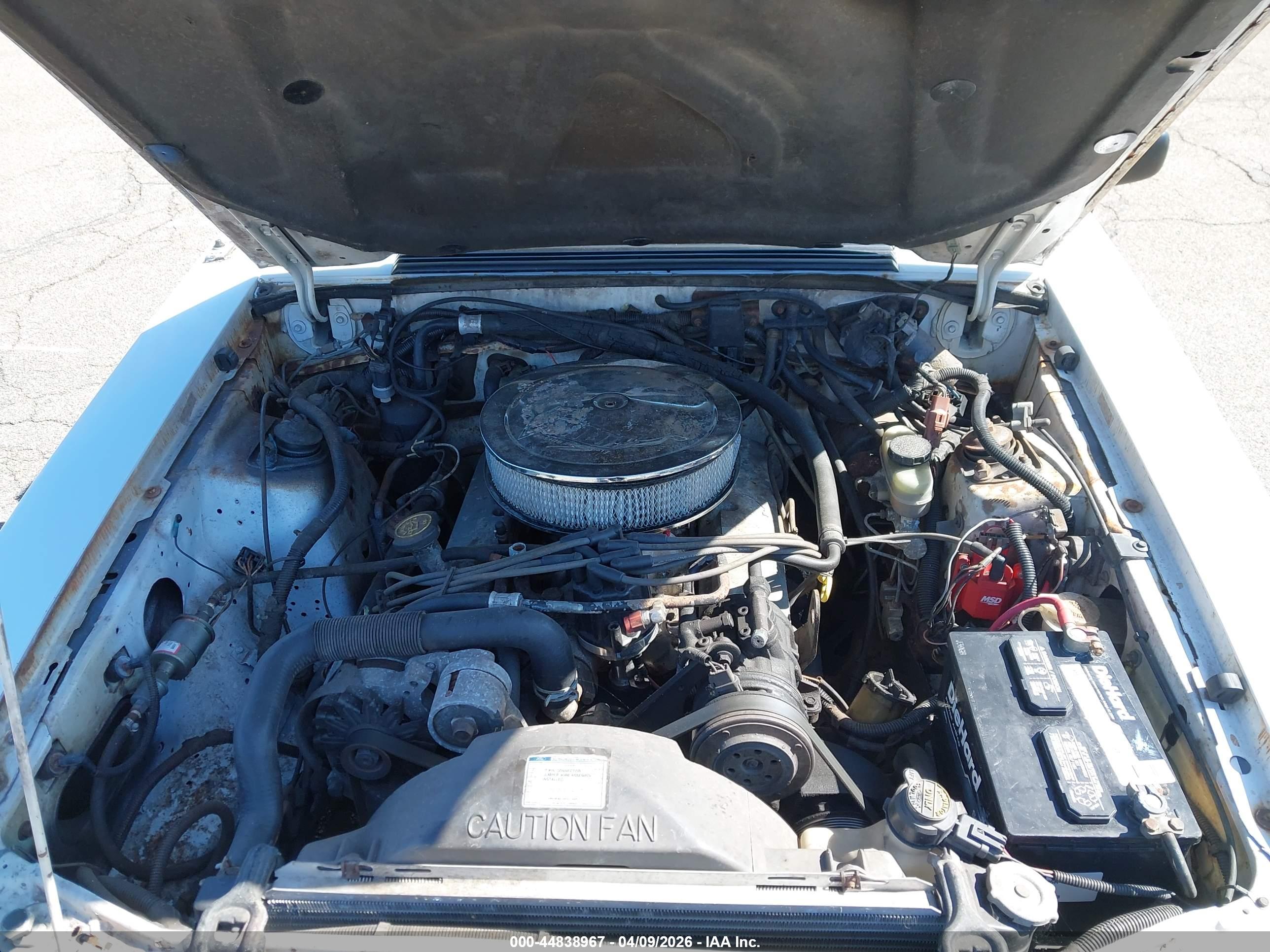 FORD MUSTANG image 10
