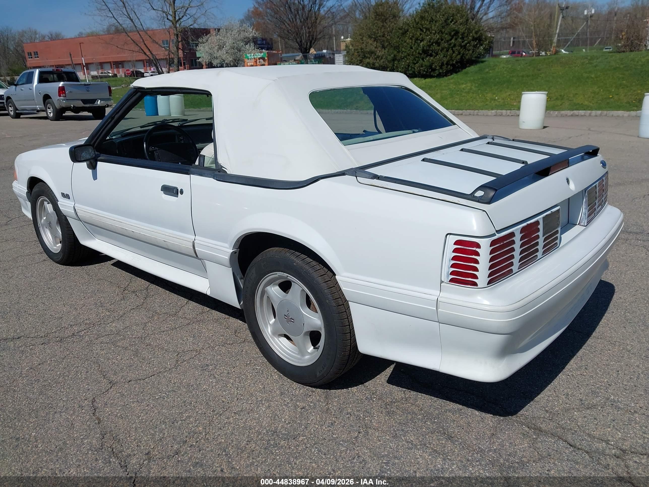 FORD MUSTANG image 3