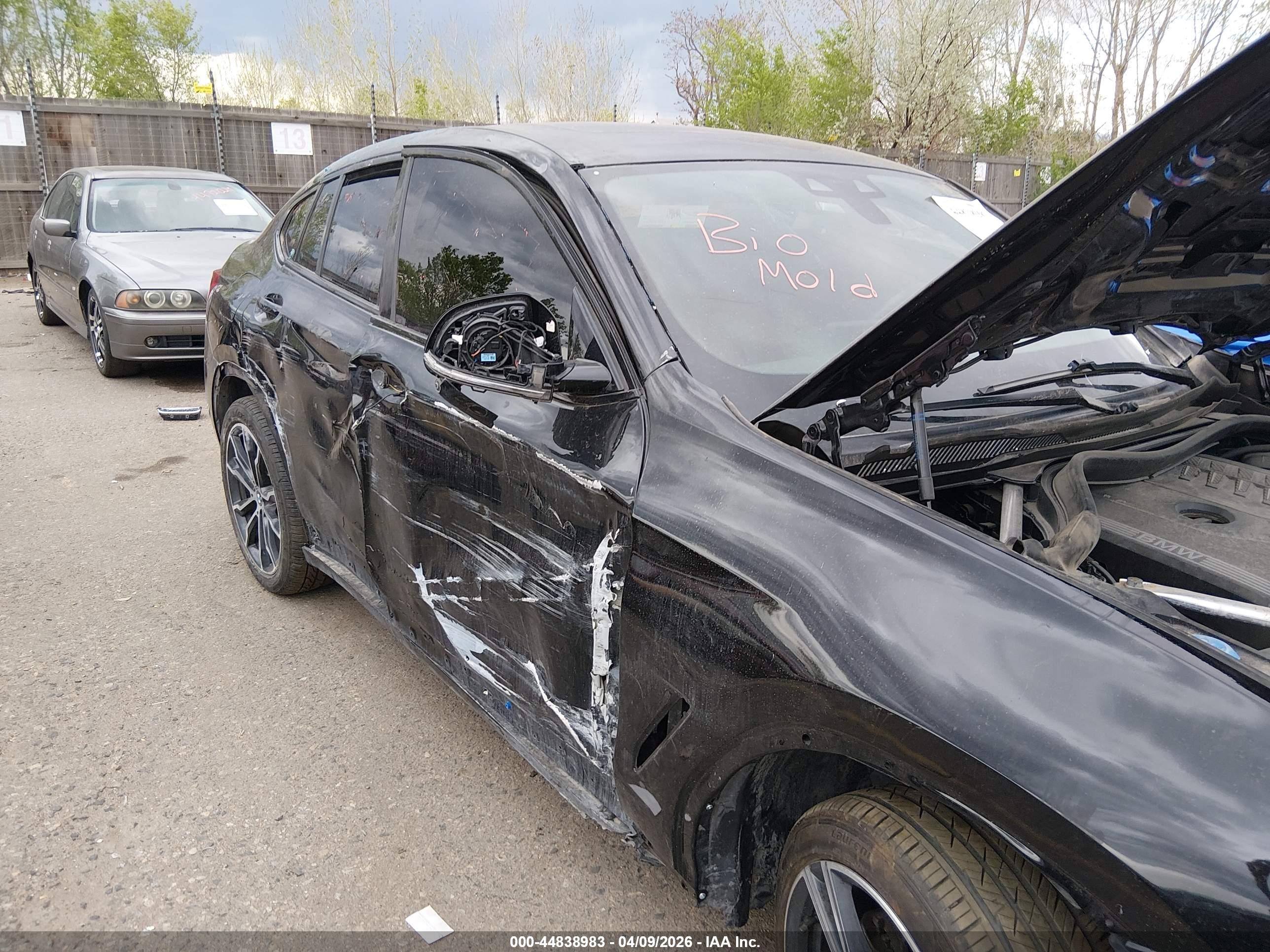 BMW X4 image 6