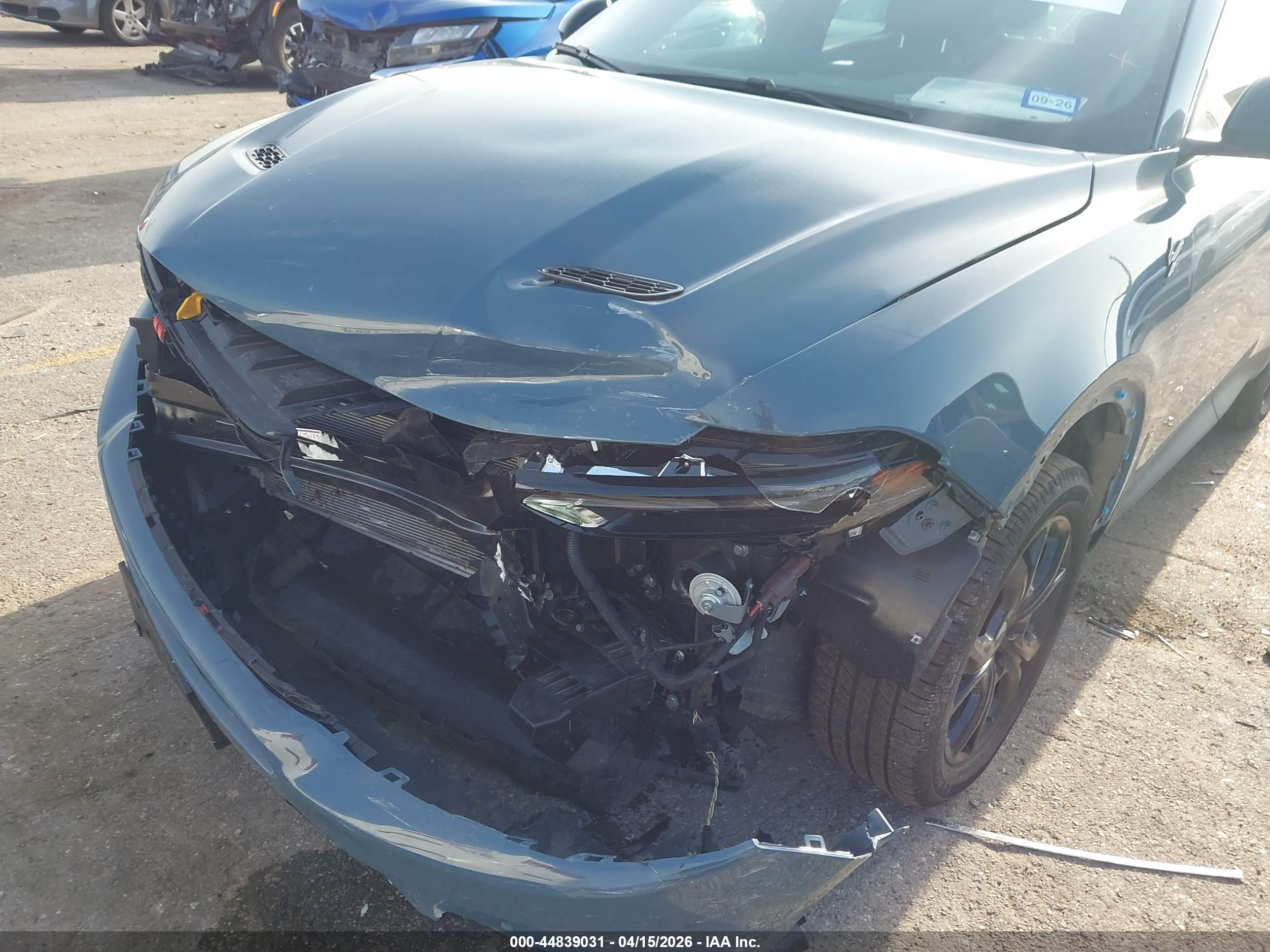 DODGE HORNET image 6