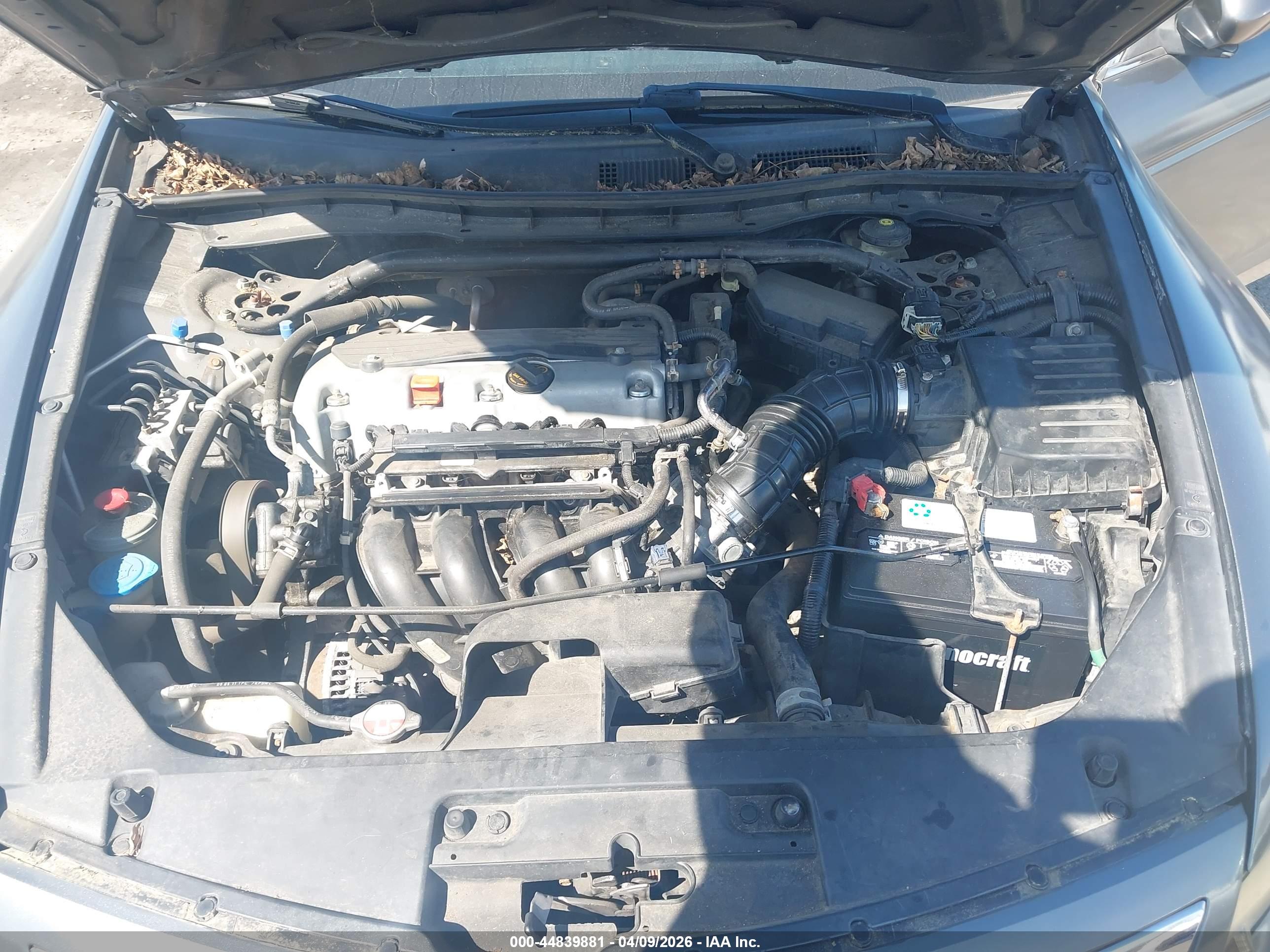 HONDA ACCORD image 10