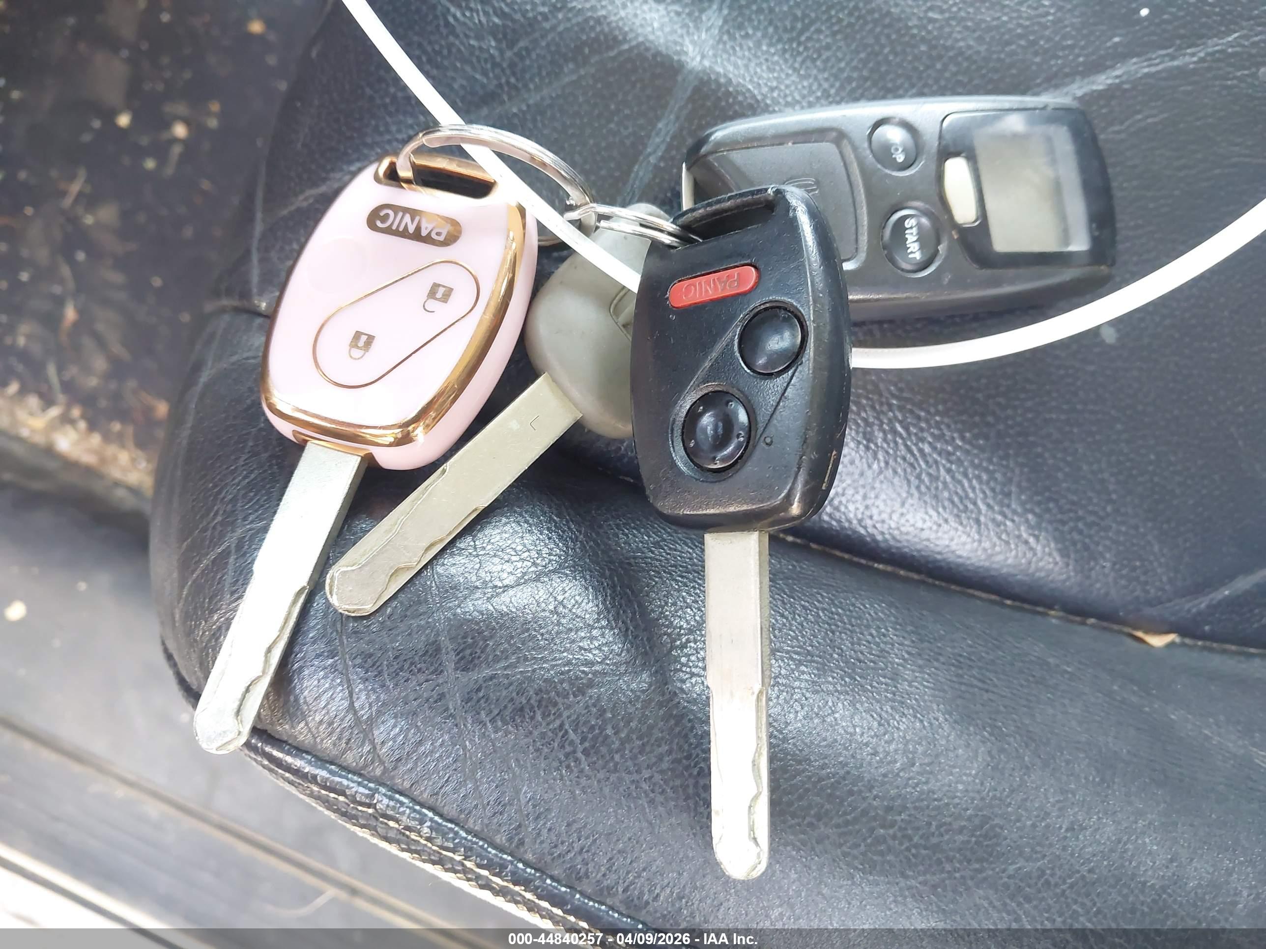 HONDA CR-V image 11
