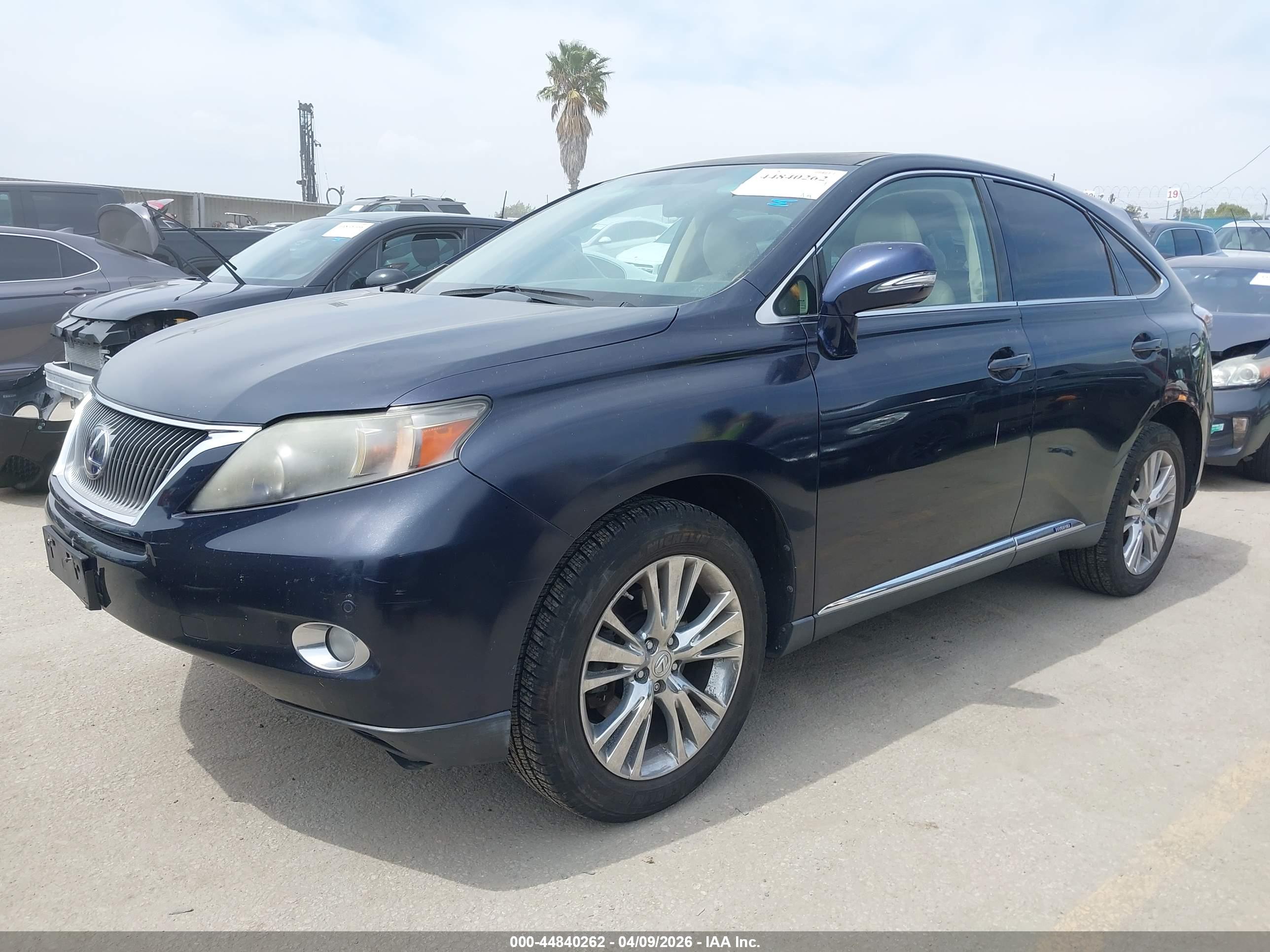 LEXUS RX image 2