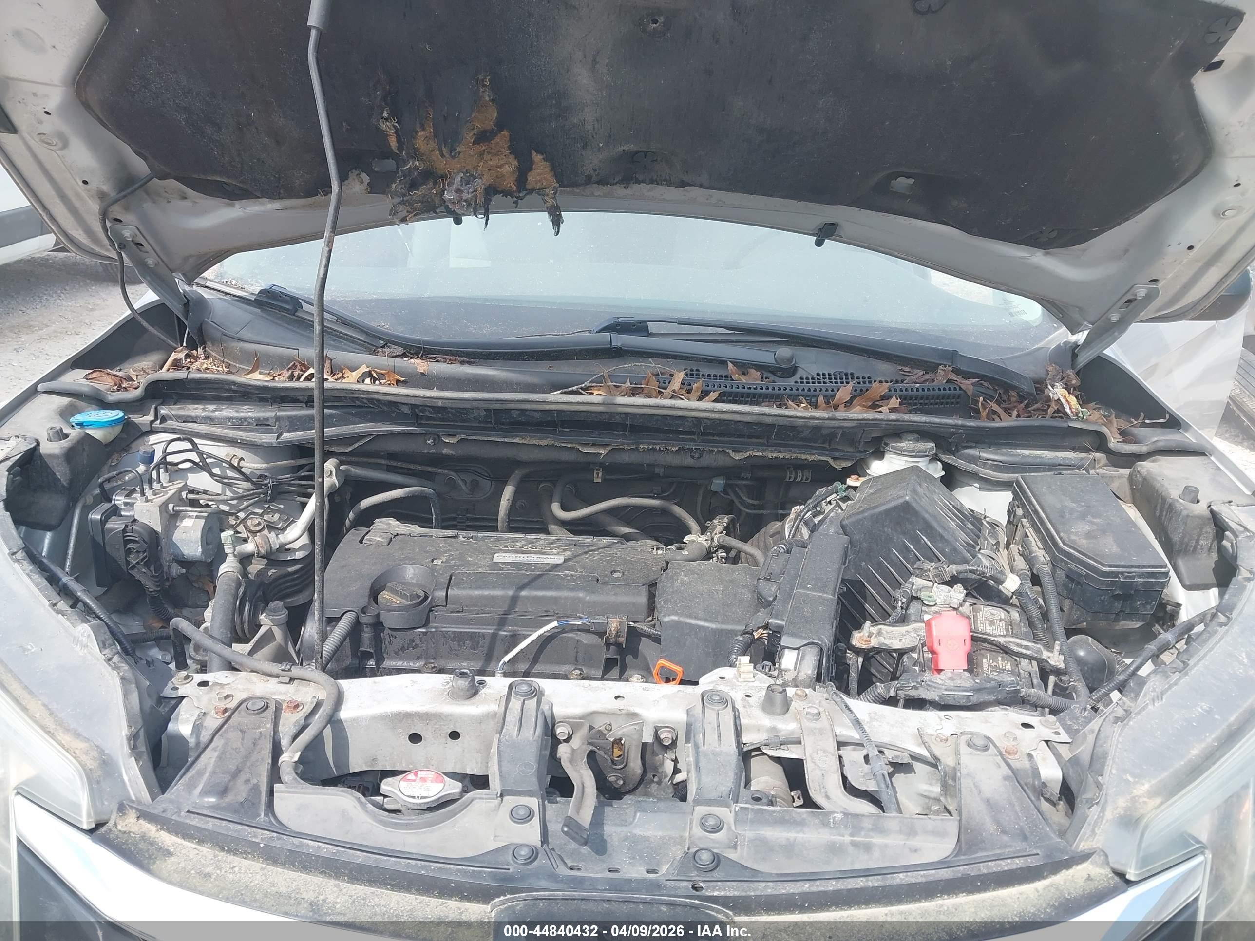 HONDA CR-V image 10