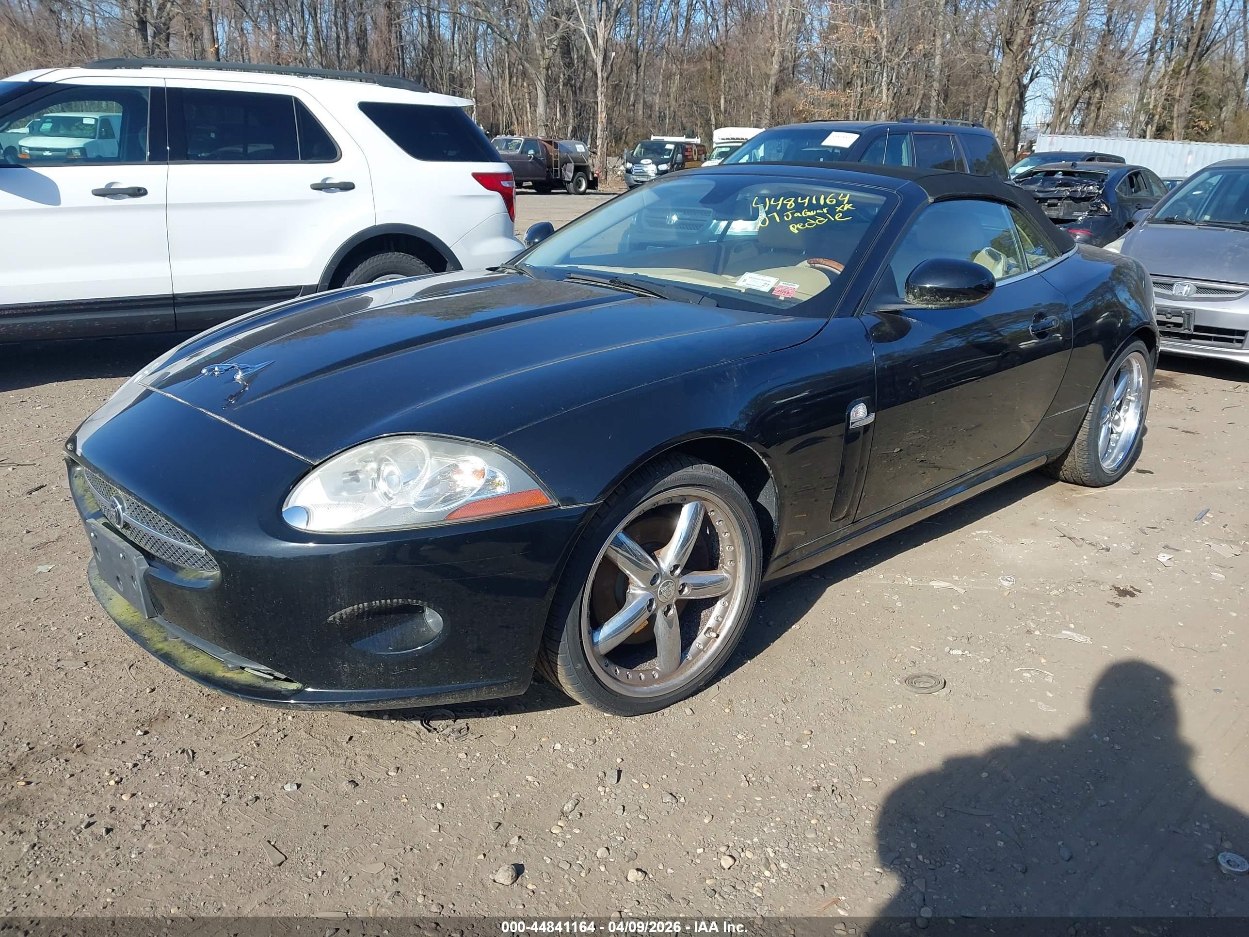 JAGUAR XK image 2