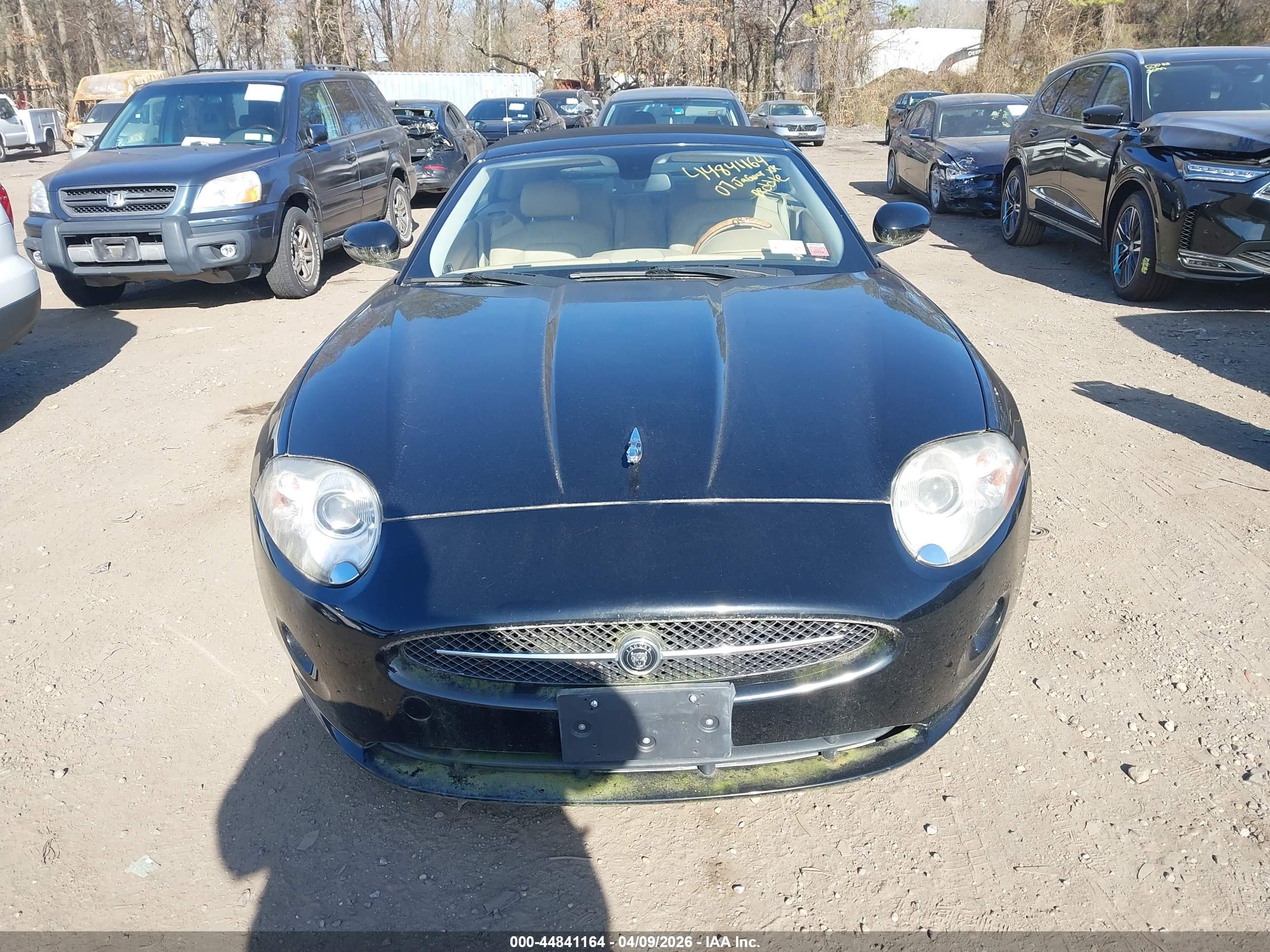 JAGUAR XK image 6