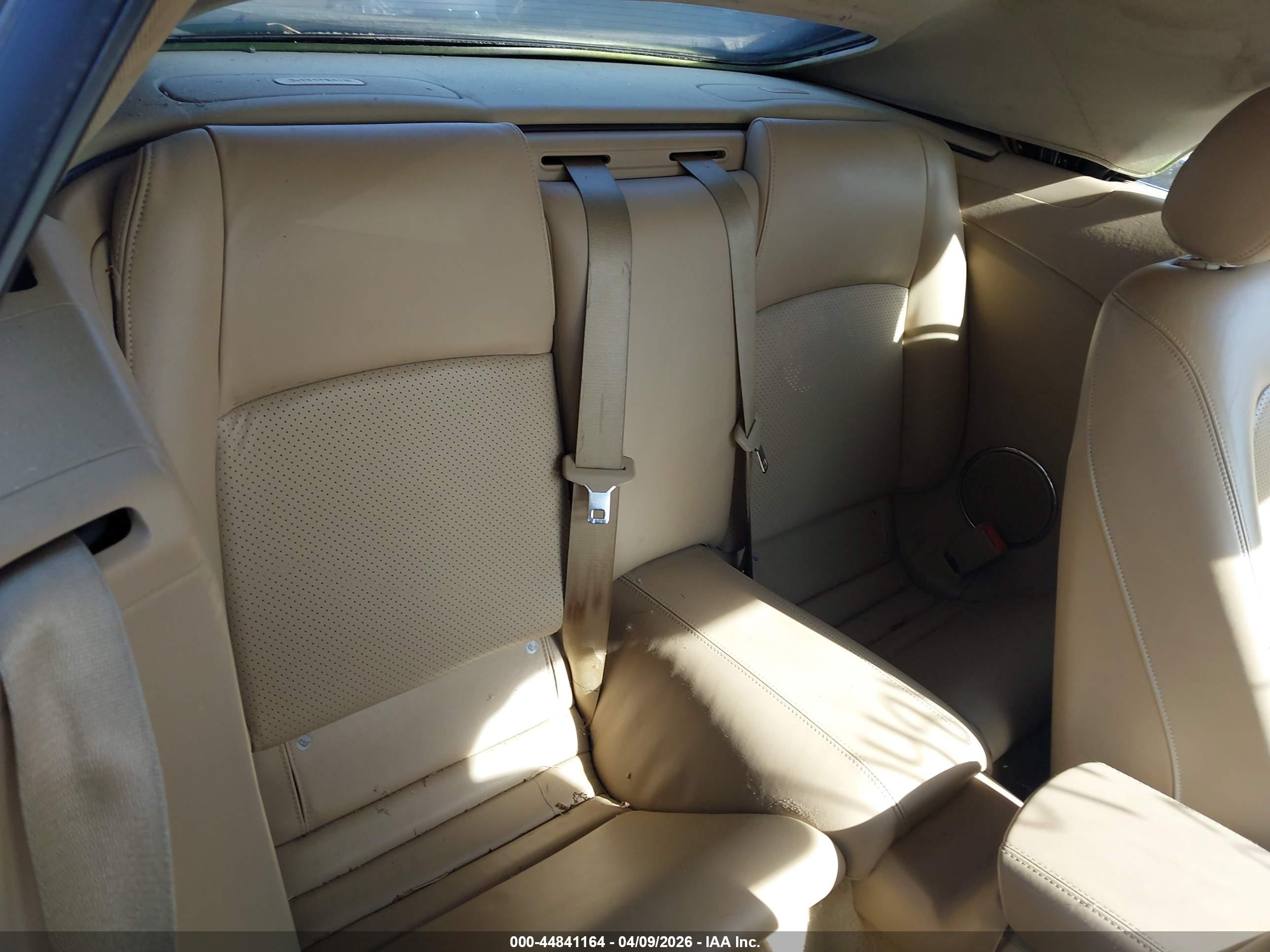 JAGUAR XK image 8