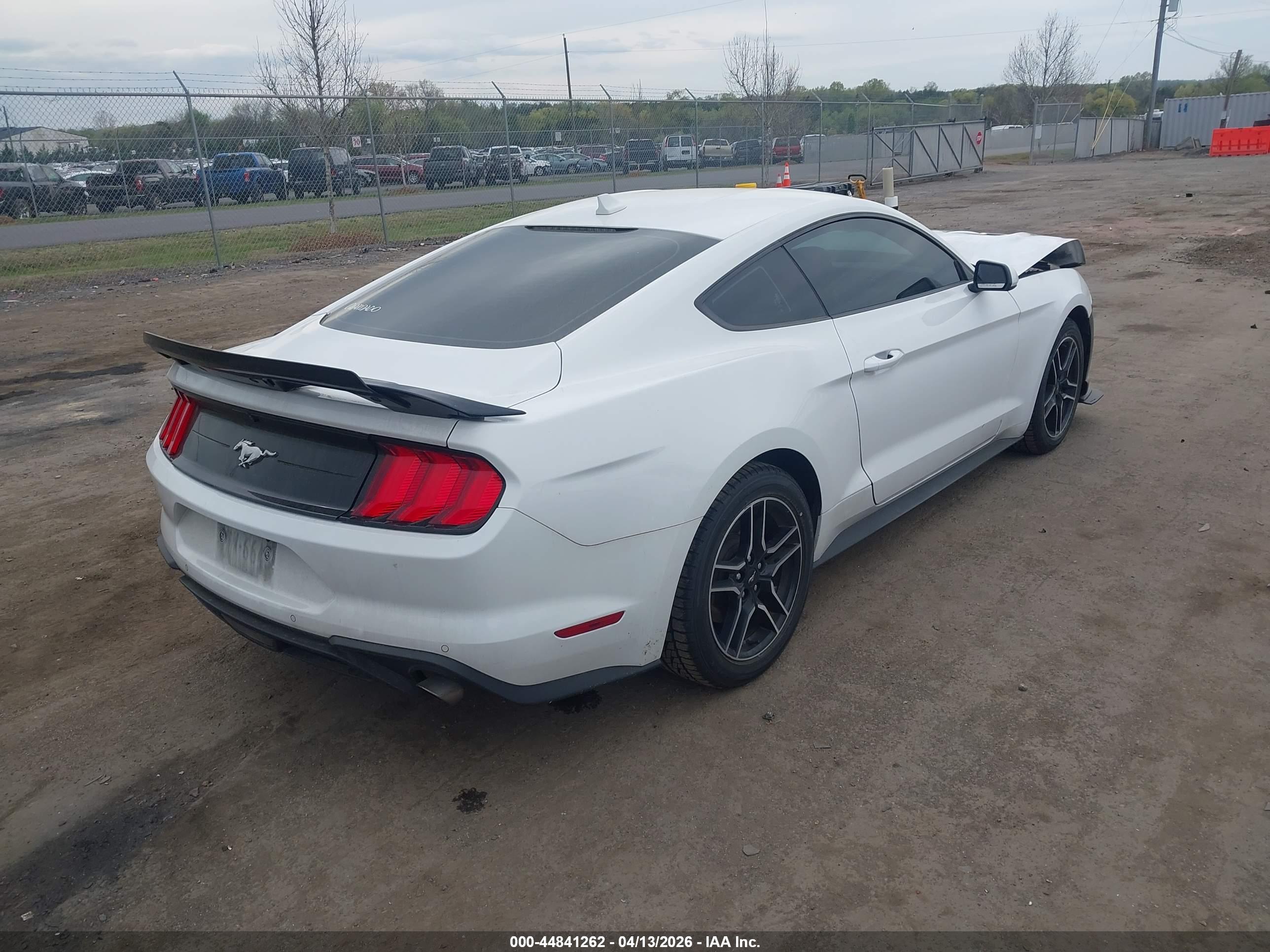 FORD MUSTANG image 4
