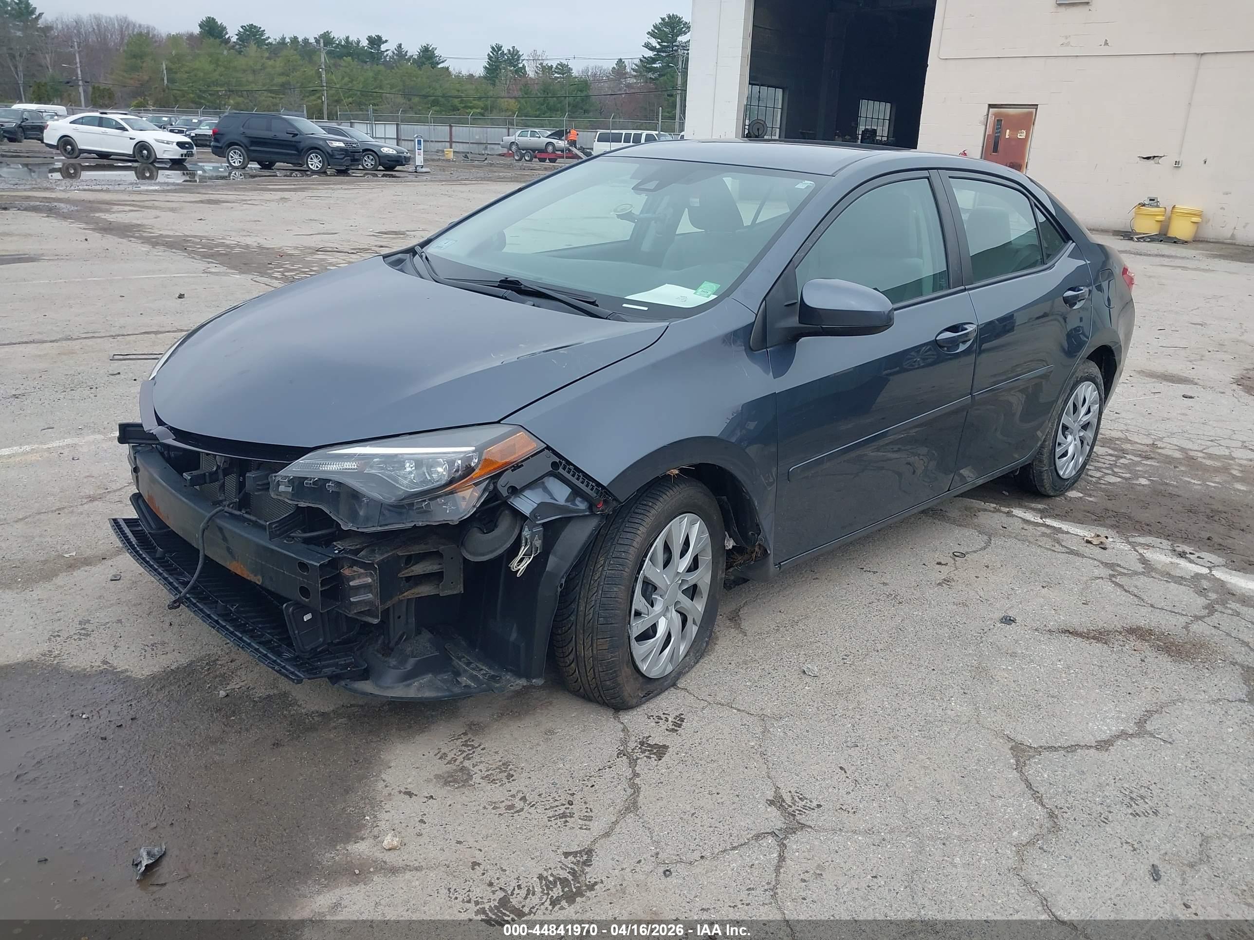 TOYOTA COROLLA image 2