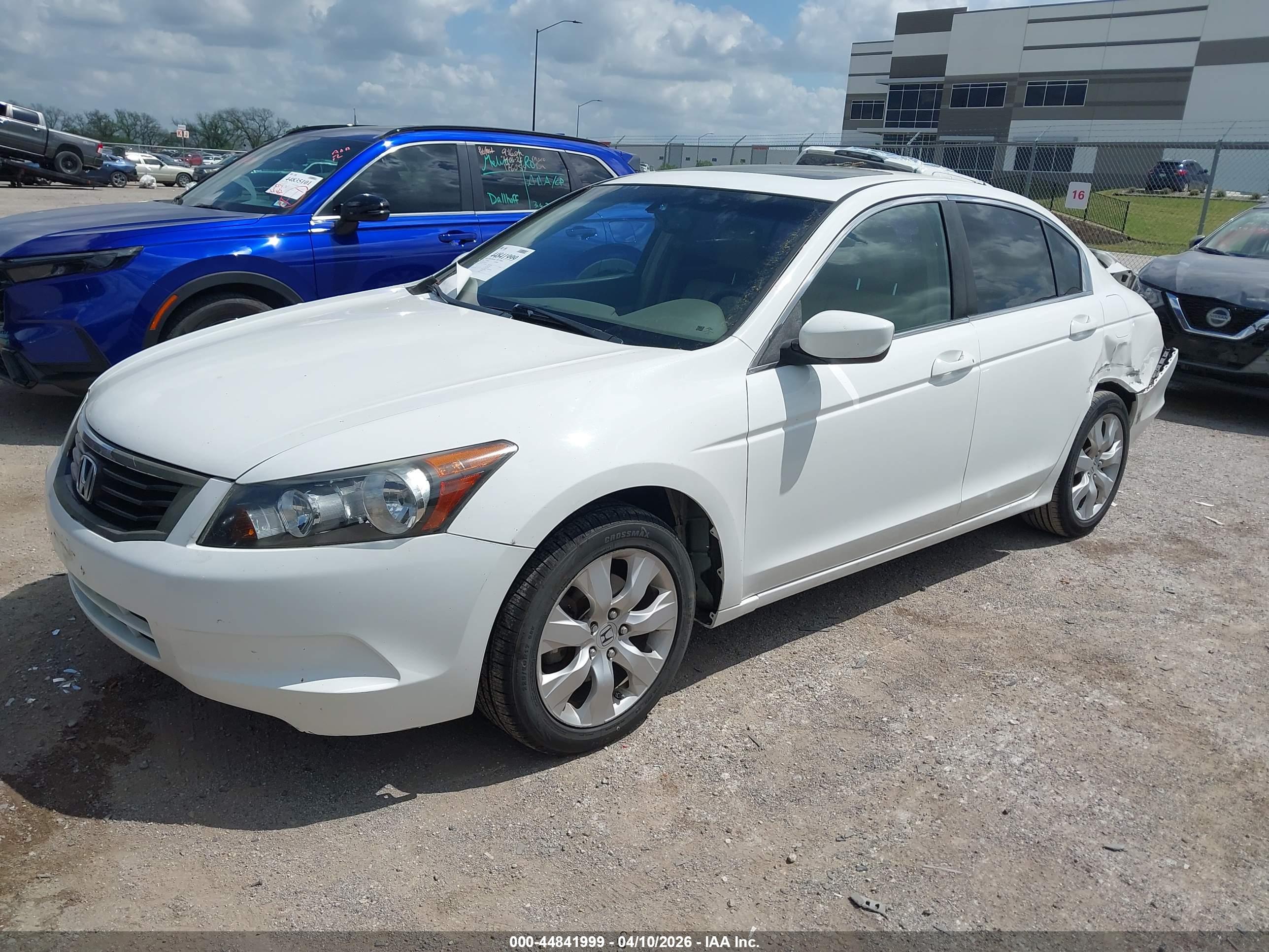 HONDA ACCORD image 2