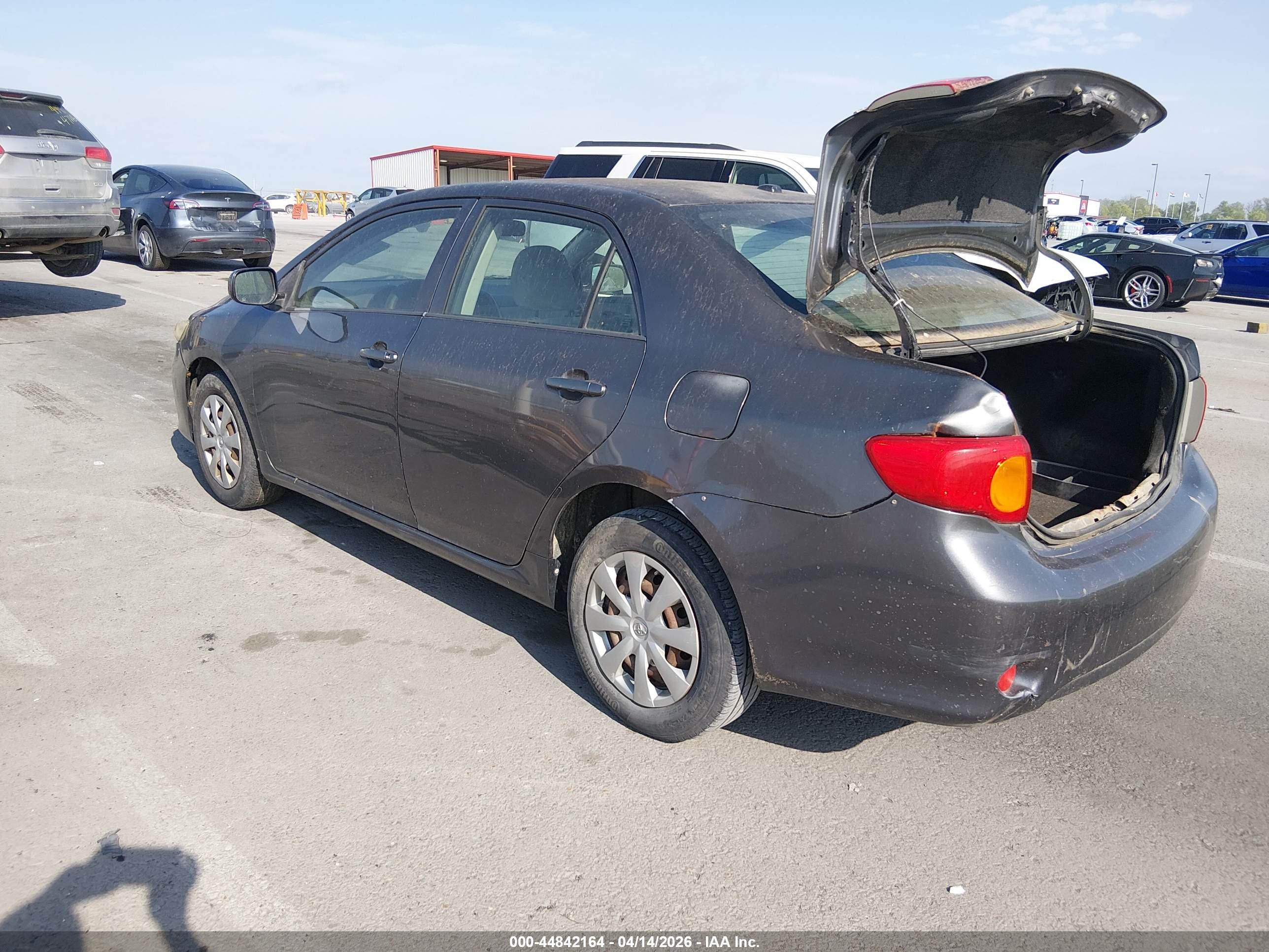 TOYOTA COROLLA image 3