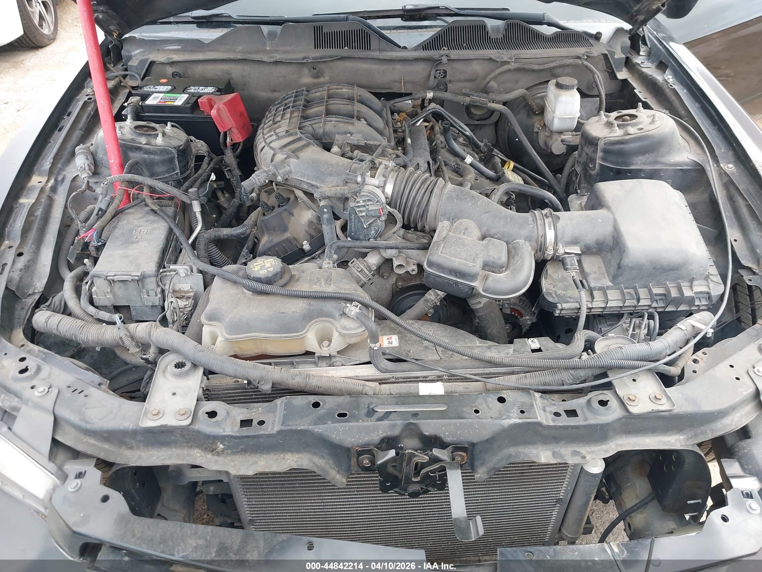 FORD MUSTANG image 10