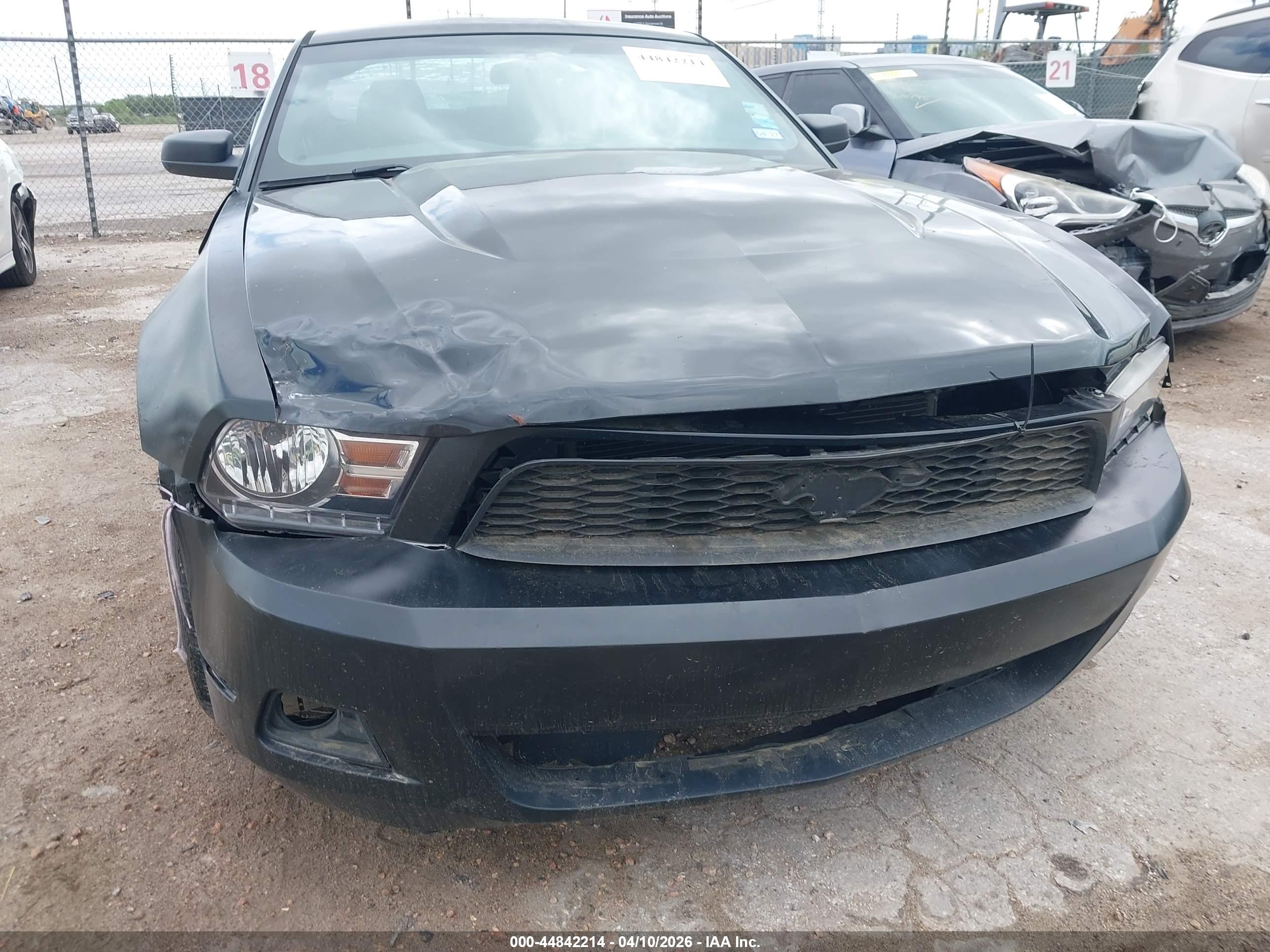 FORD MUSTANG image 6