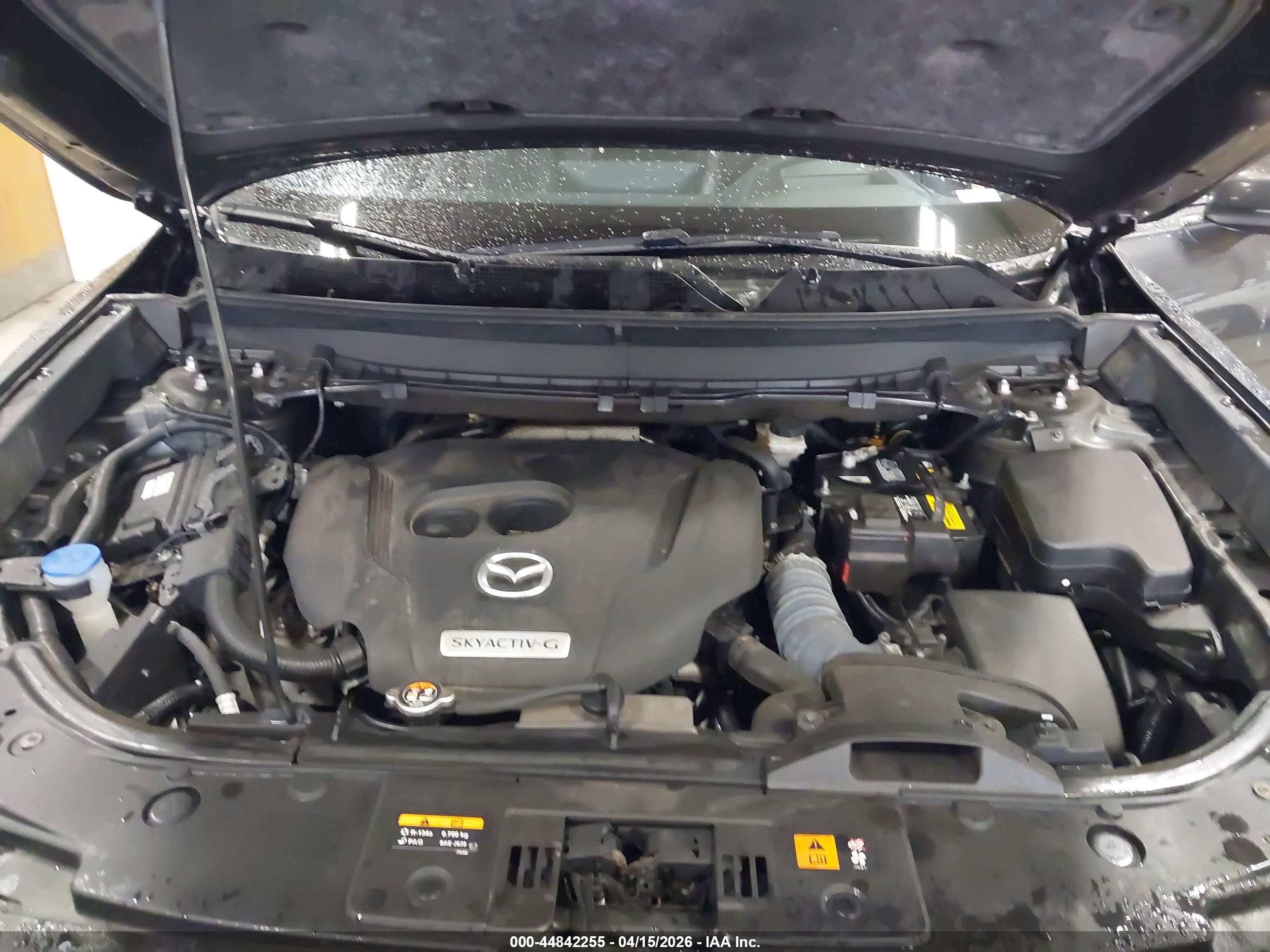 MAZDA CX-9 image 10