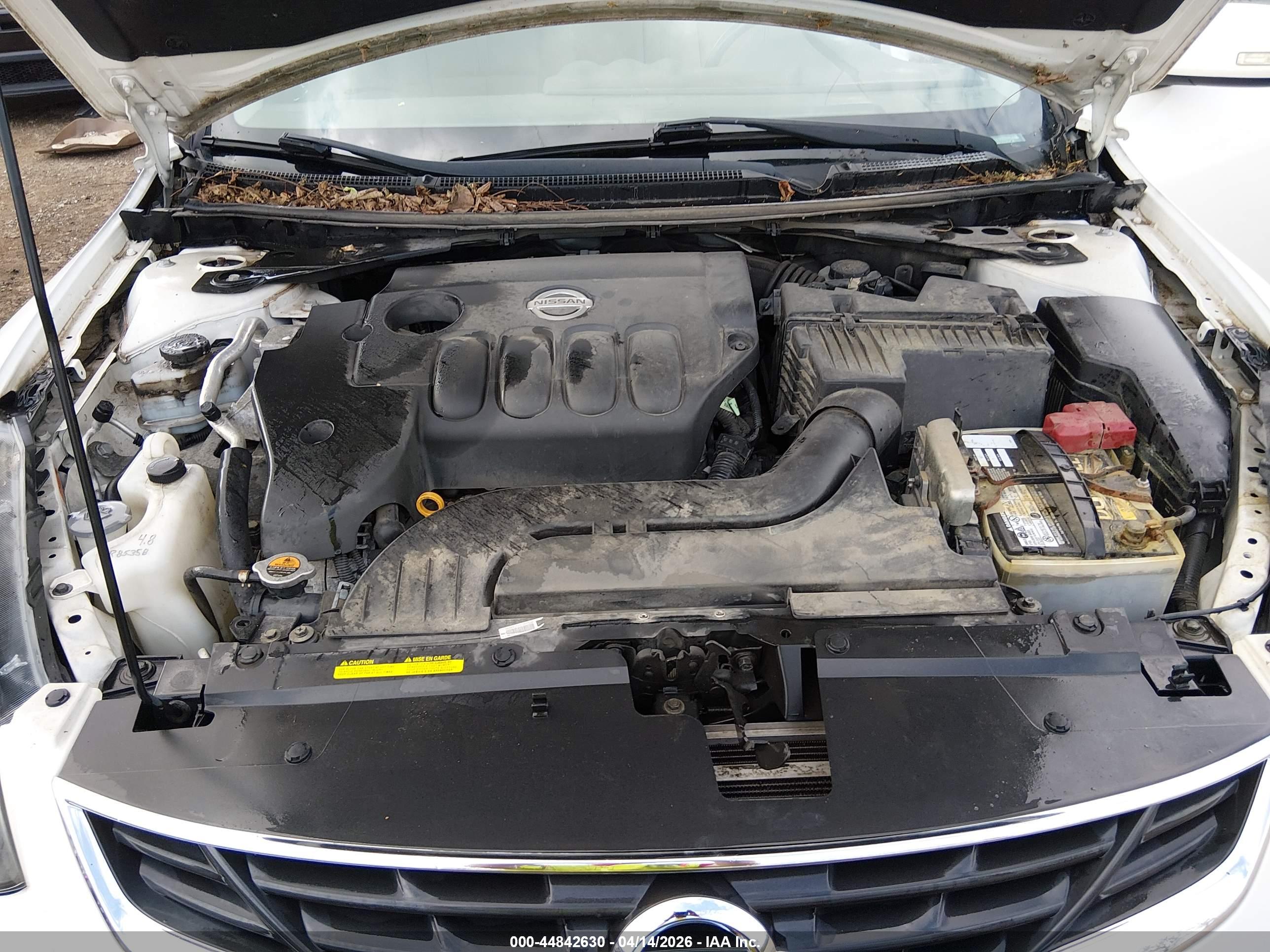 NISSAN ALTIMA image 10