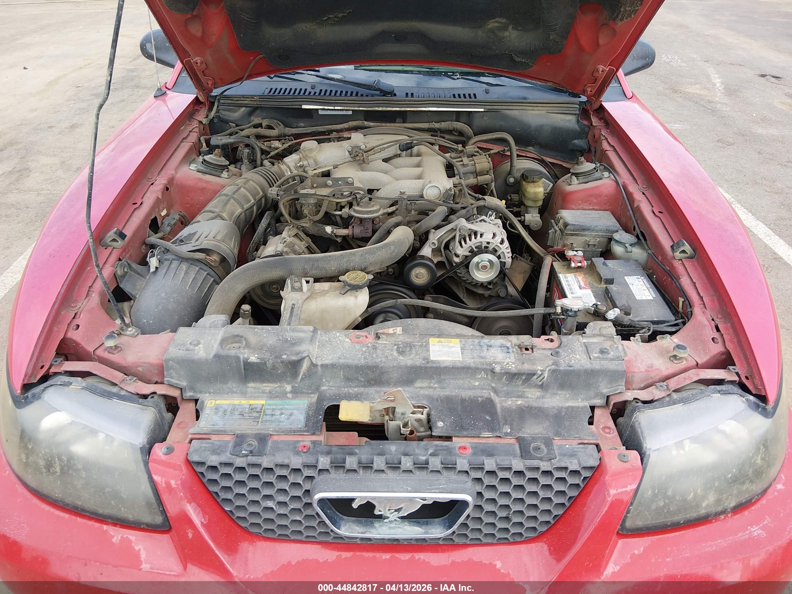 FORD MUSTANG image 10